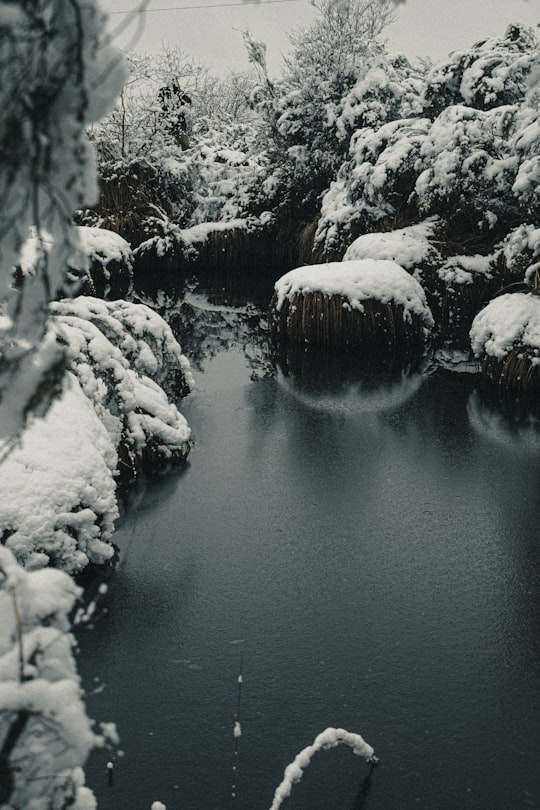 white ice on body of water in Châtellerault France