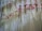 Several lacey white dresses or nightgowns are hanging on bright pink hangers against a white wooden fence. Each garment has a tag attached to it.