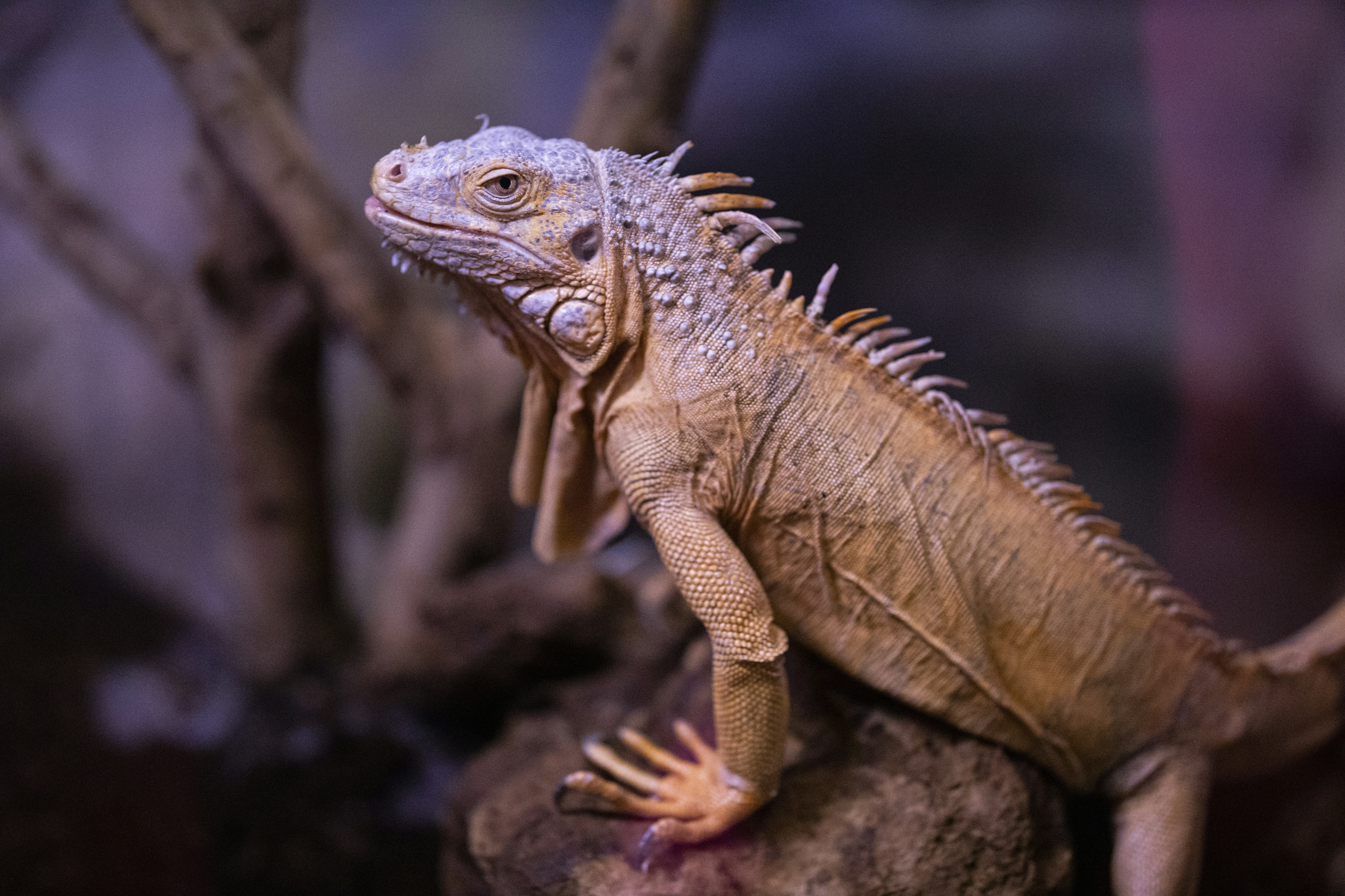 Photo by enginakyurt