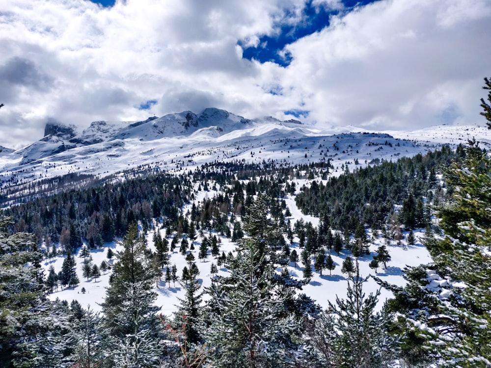 snow covered mountain under cloudy sky during daytime