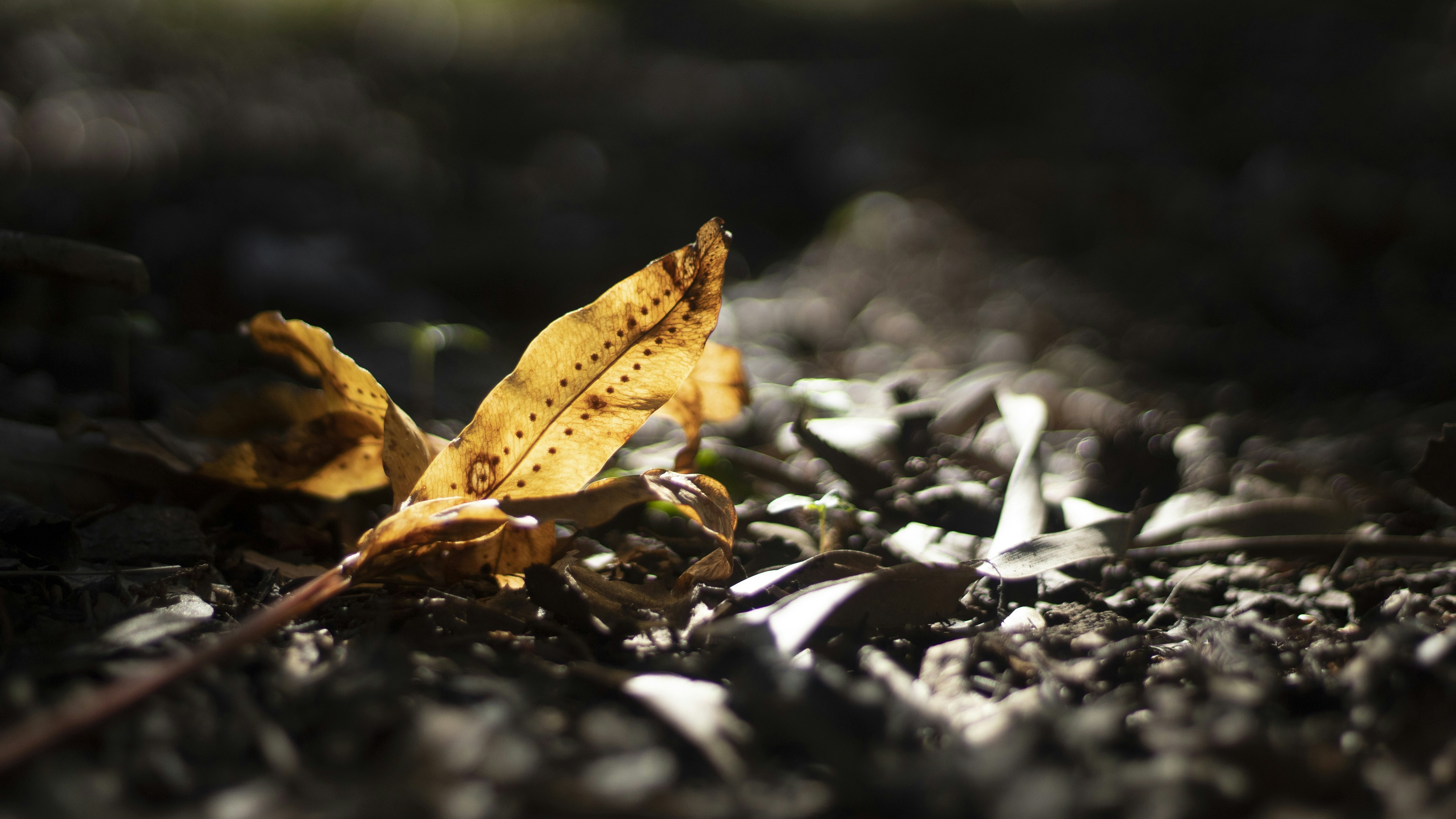 Photo by kaitduffey17