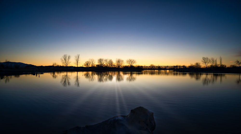 silhouette of trees near body of water during sunset