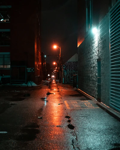 A gritty urban alleyway at night illuminated by dim street lamps casting long shadows on wet pavement.