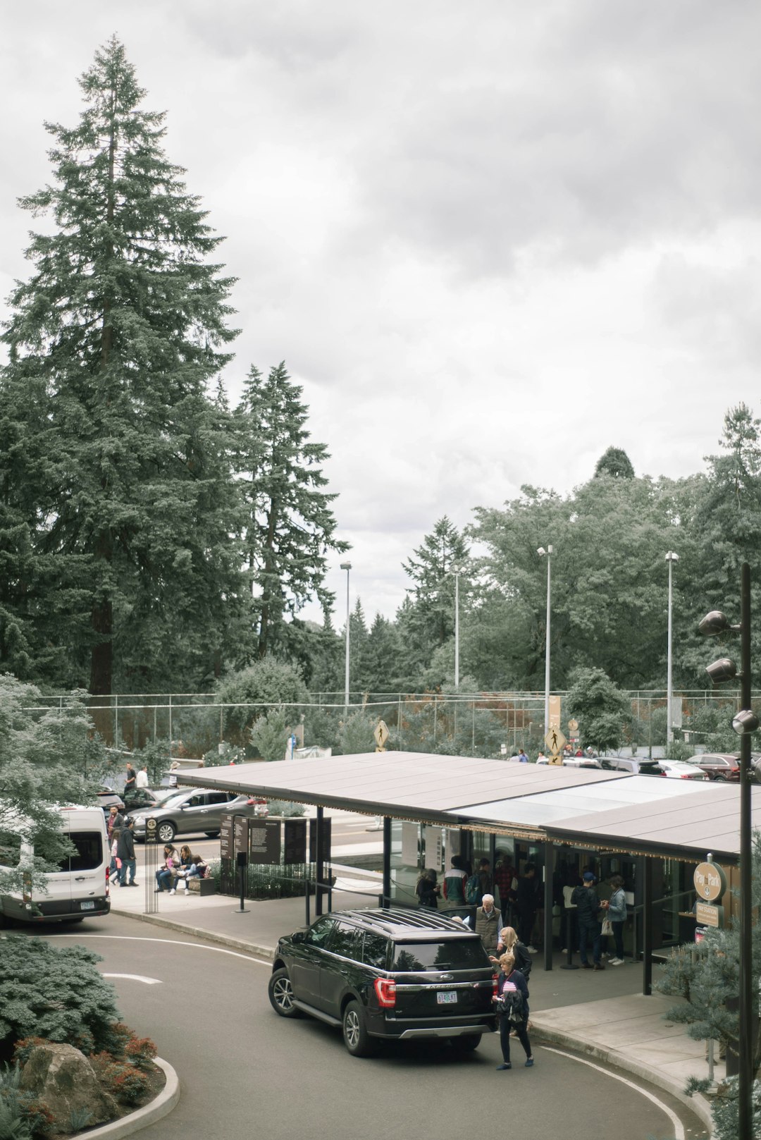 people sitting on white bench near green trees during daytime