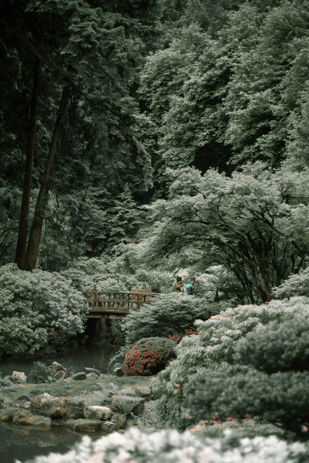 people walking on snow covered ground near trees during daytime