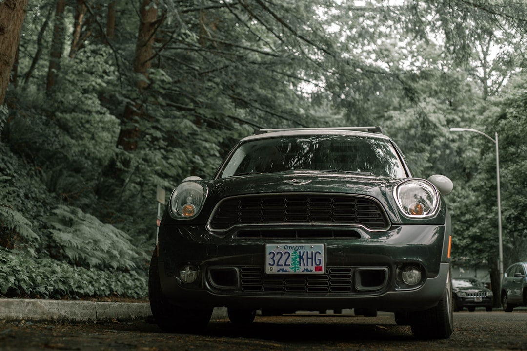 black mercedes benz car on forest