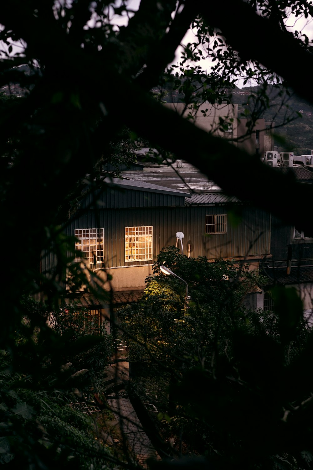 Plantes vertes près d’un bâtiment en béton blanc pendant la journée