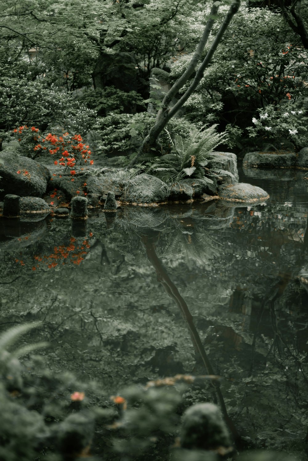 gray stone on water during daytime