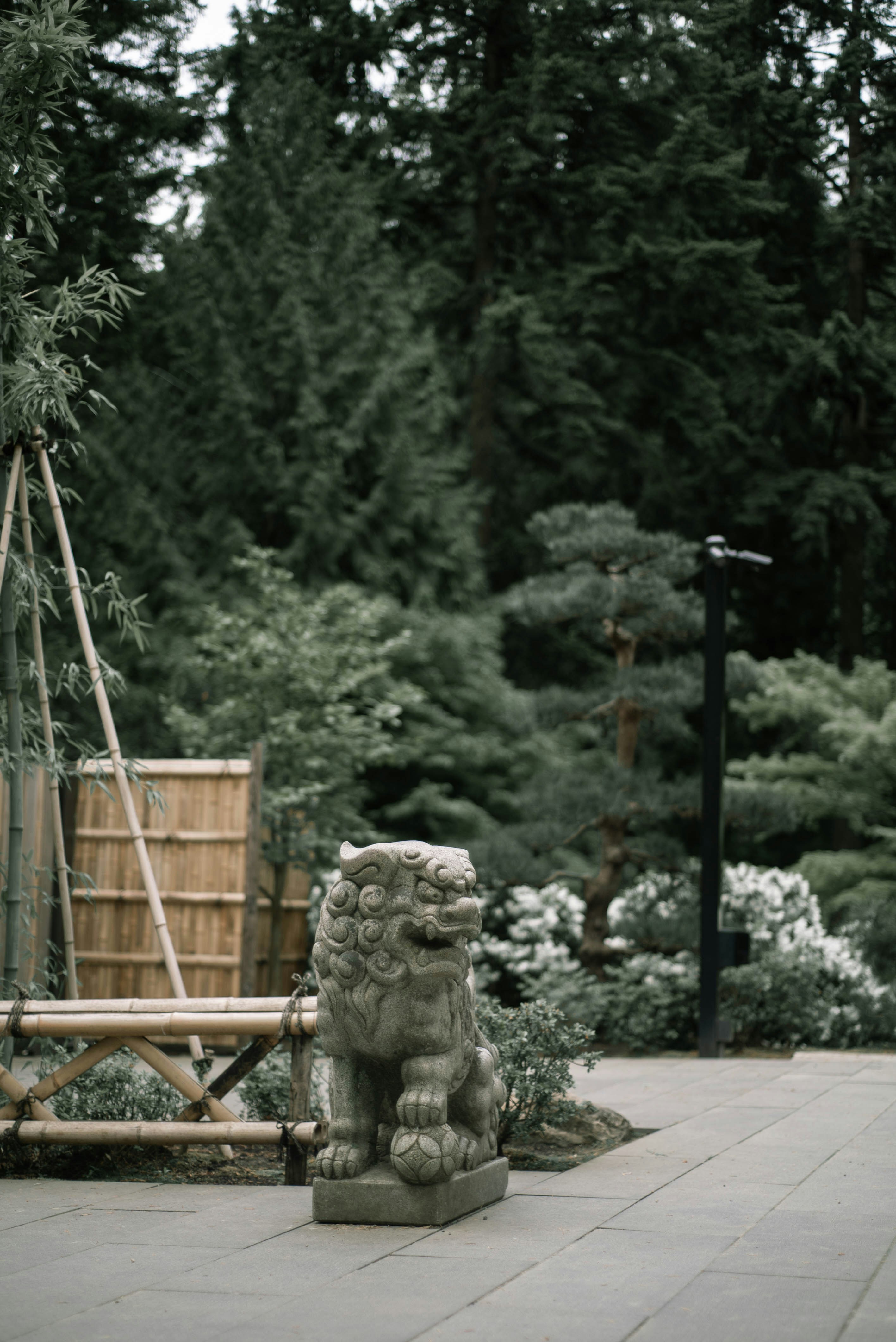estátua de concreto cinza perto da cerca de madeira marrom durante o dia