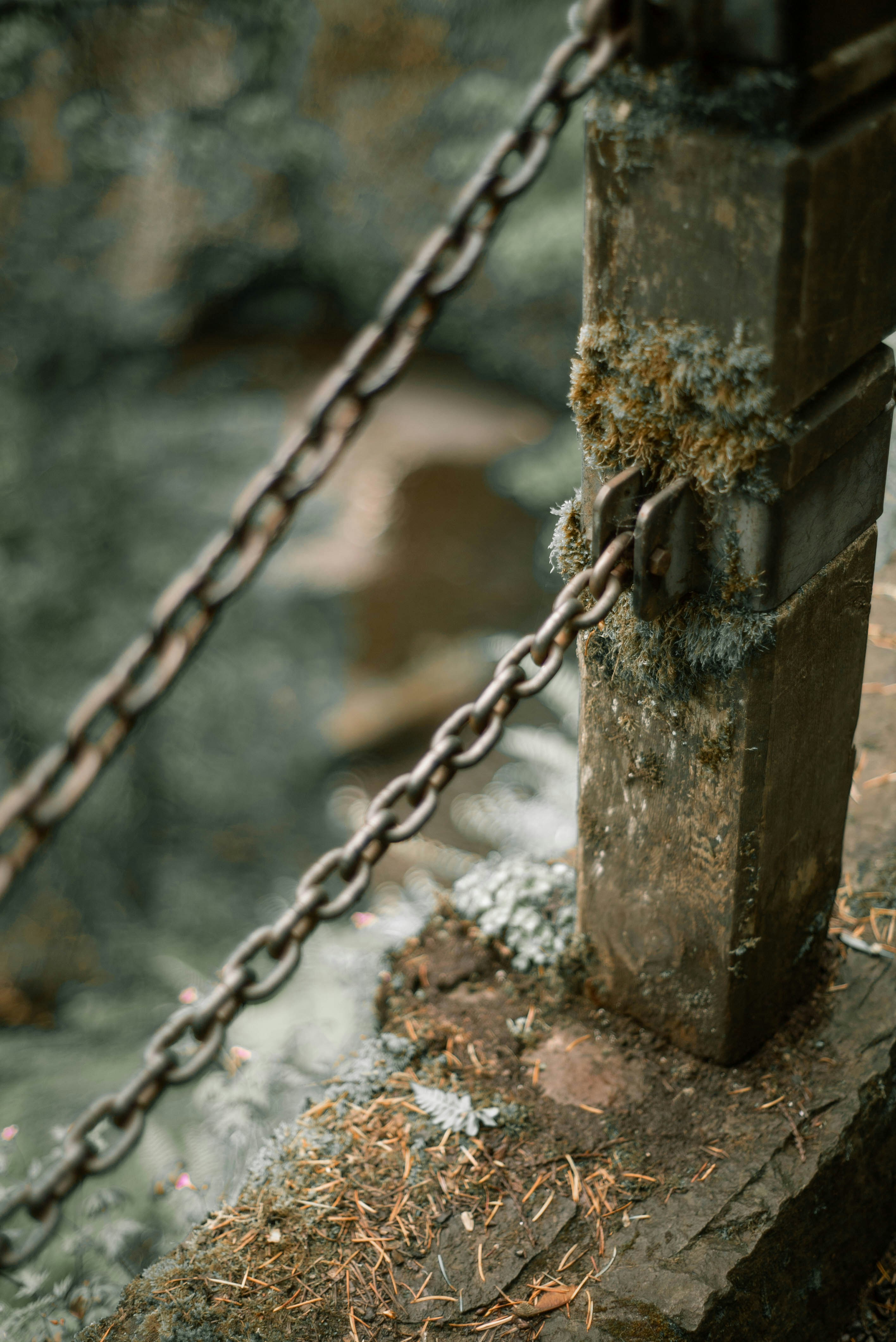 [hikaye] : Köle olmayı kabul ettim ve...