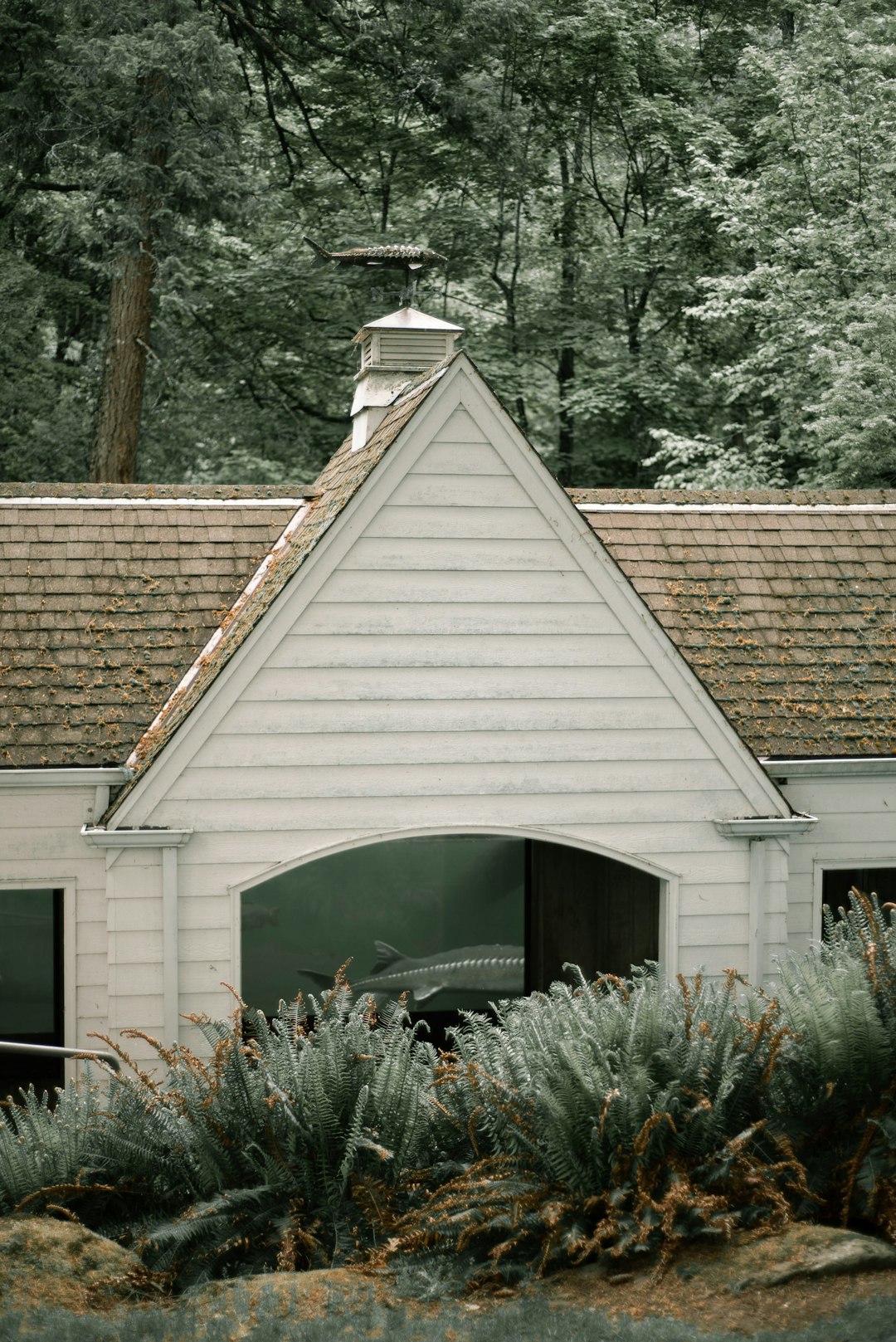 white and brown house near green trees during daytime