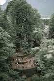 A group of people gather in a circular, fenced-off area surrounded by dense greenery and tall trees. The setting is outdoors, possibly within a park or forest trail, with many people appearing to be tourists or visitors, taking photos or observing the scenery. The surrounding trees are lush and leafy, creating a natural canopy.