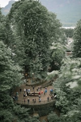 A group of people gather in a circular, fenced-off area surrounded by dense greenery and tall trees. The setting is outdoors, possibly within a park or forest trail, with many people appearing to be tourists or visitors, taking photos or observing the scenery. The surrounding trees are lush and leafy, creating a natural canopy.