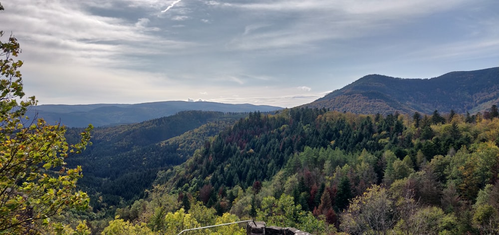 green trees on mountain under cloudy sky during daytime