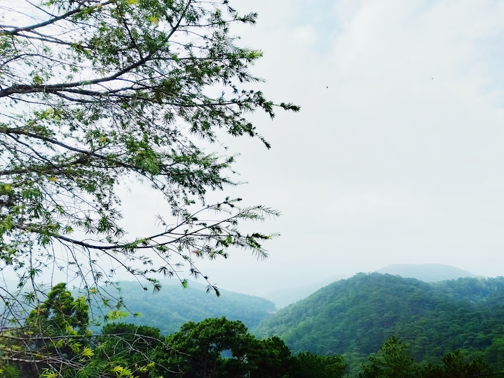 green mountains under white sky during daytime