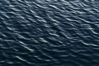 body of water during daytime