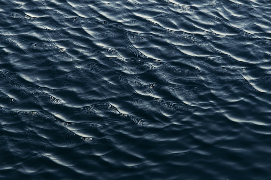 body of water during daytime
