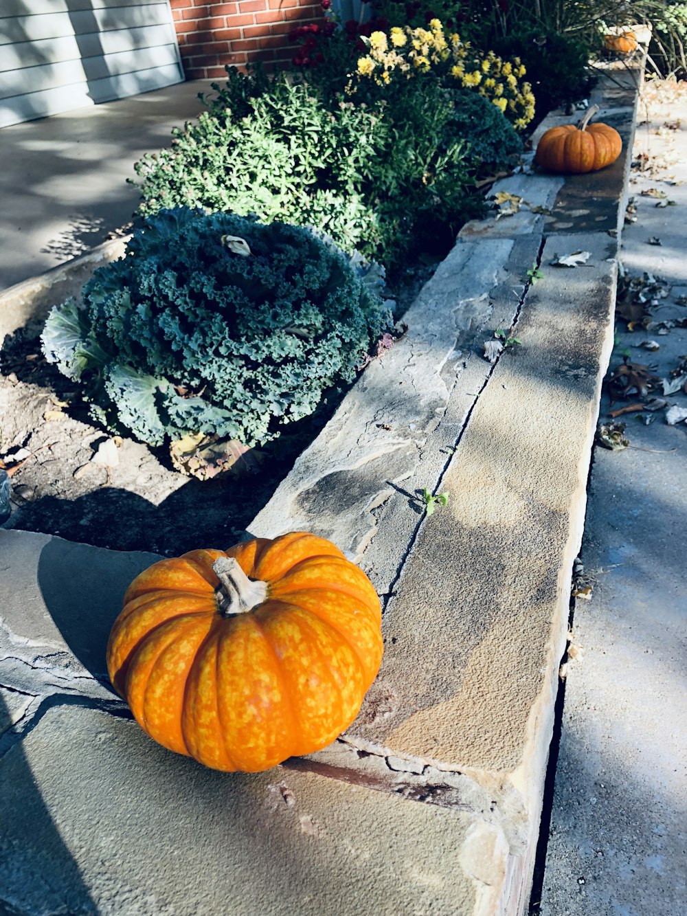 orange pumpkin on gray wooden table