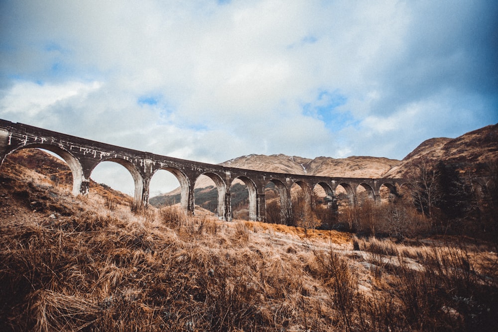 brown concrete bridge under blue sky during daytime