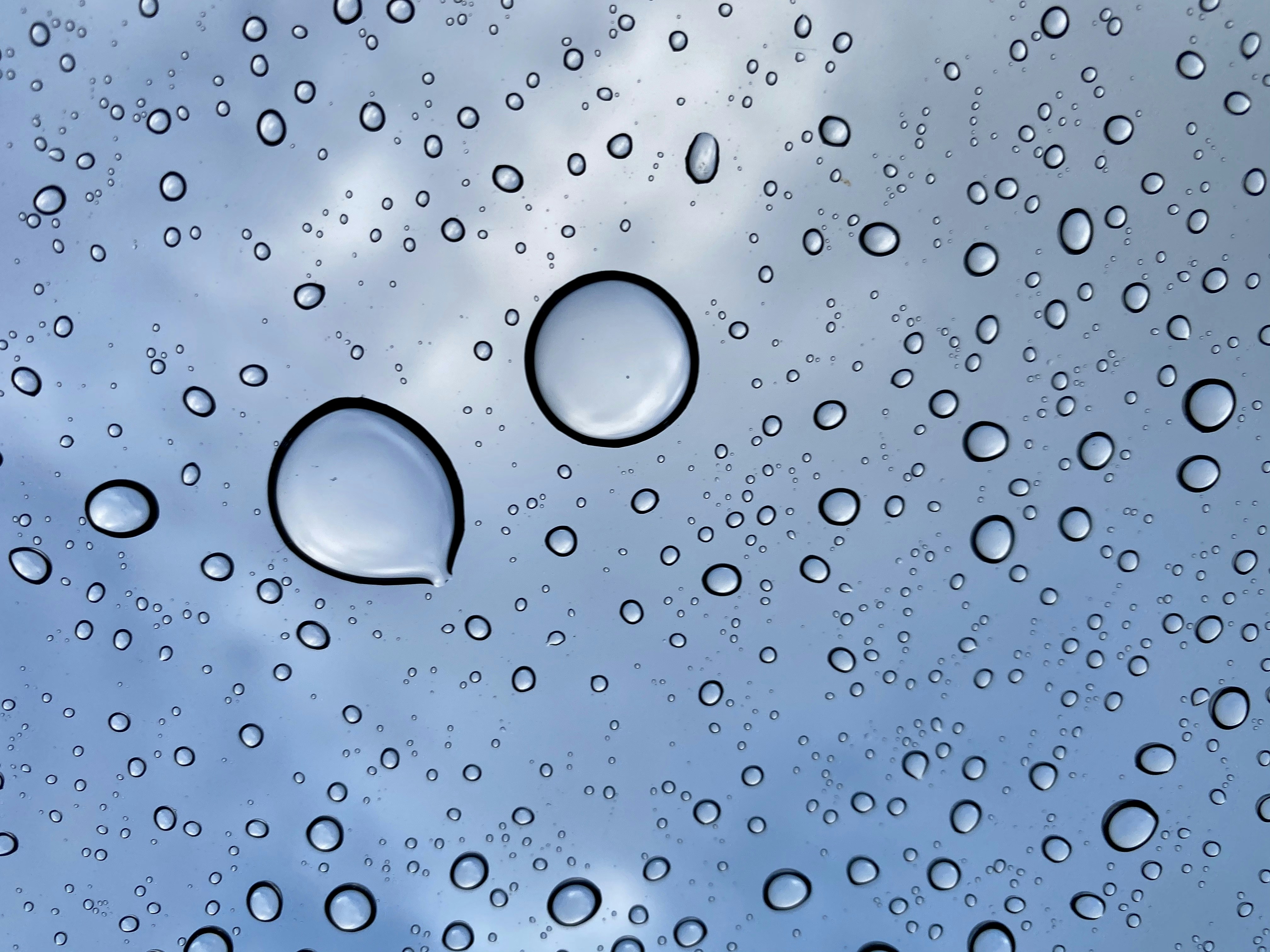 Photo by picsbyjameslee