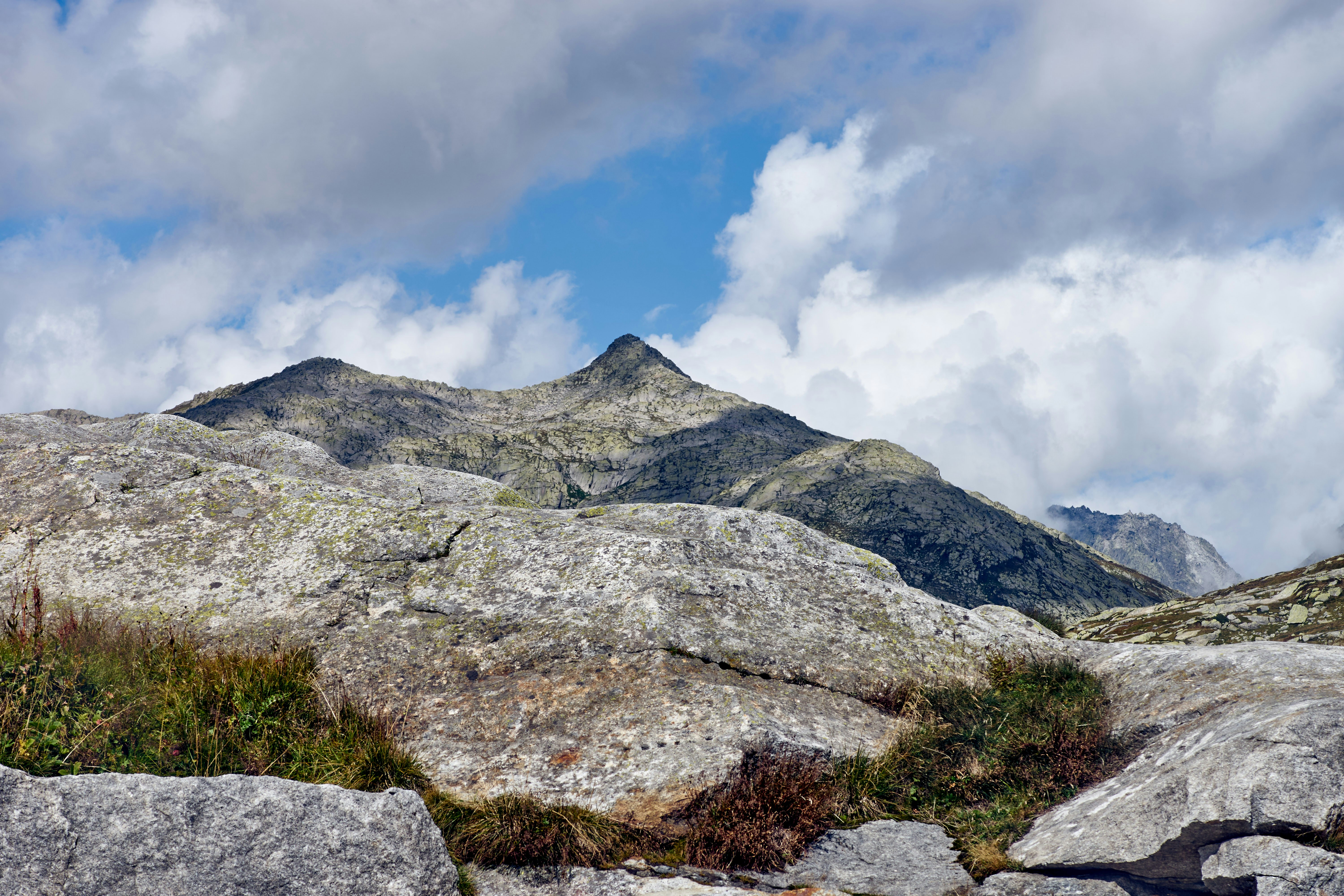 Photo by wolfgang_hasselmann