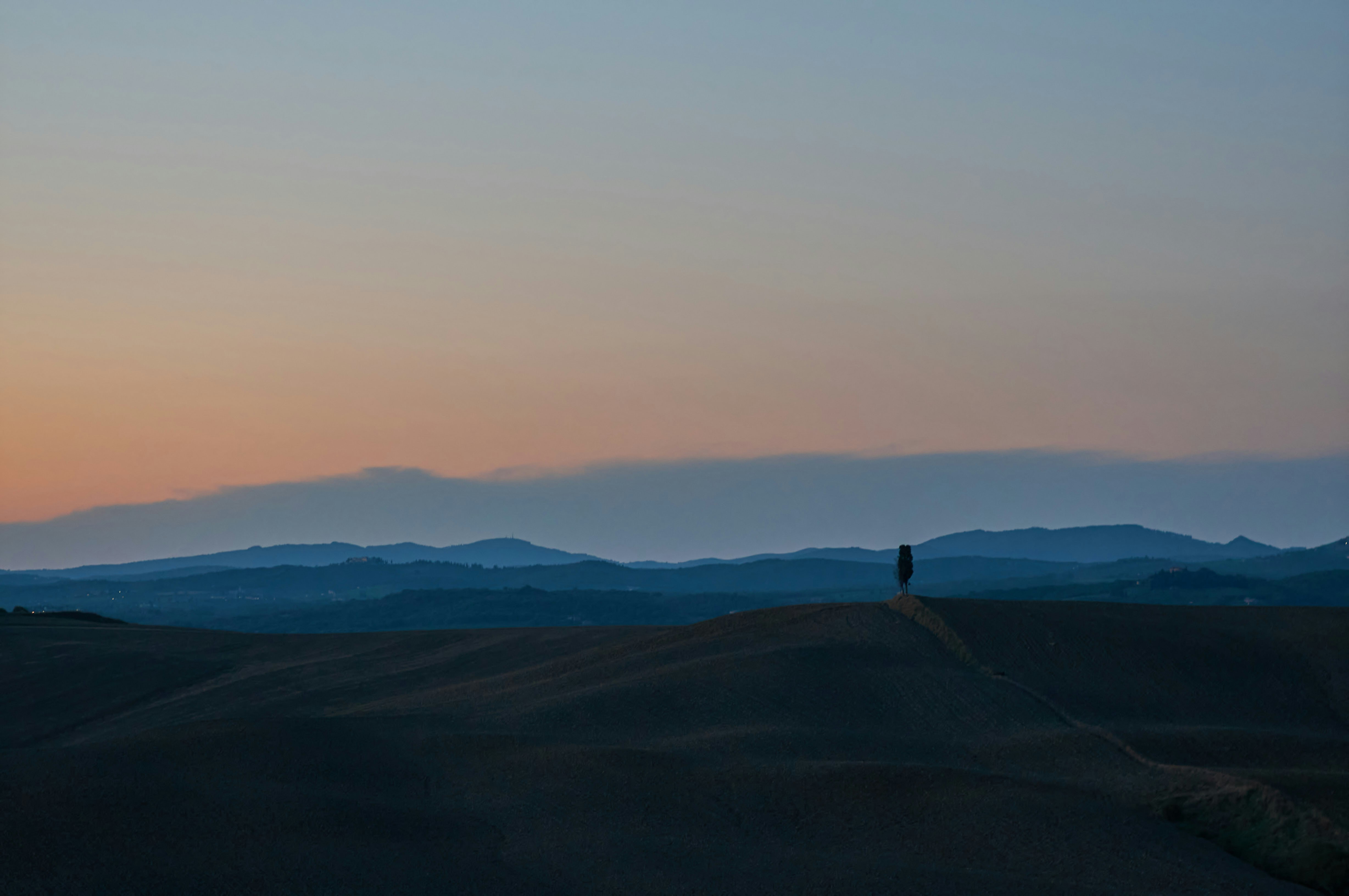 Photo by wolfgang_hasselmann