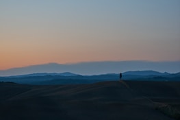 A serene landscape at dusk with a single tree silhouetted against the fading light.