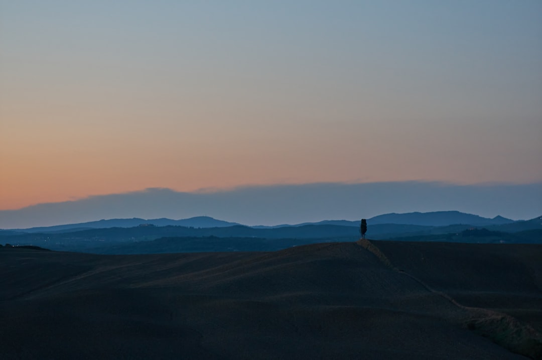 person standing on brown field during daytime