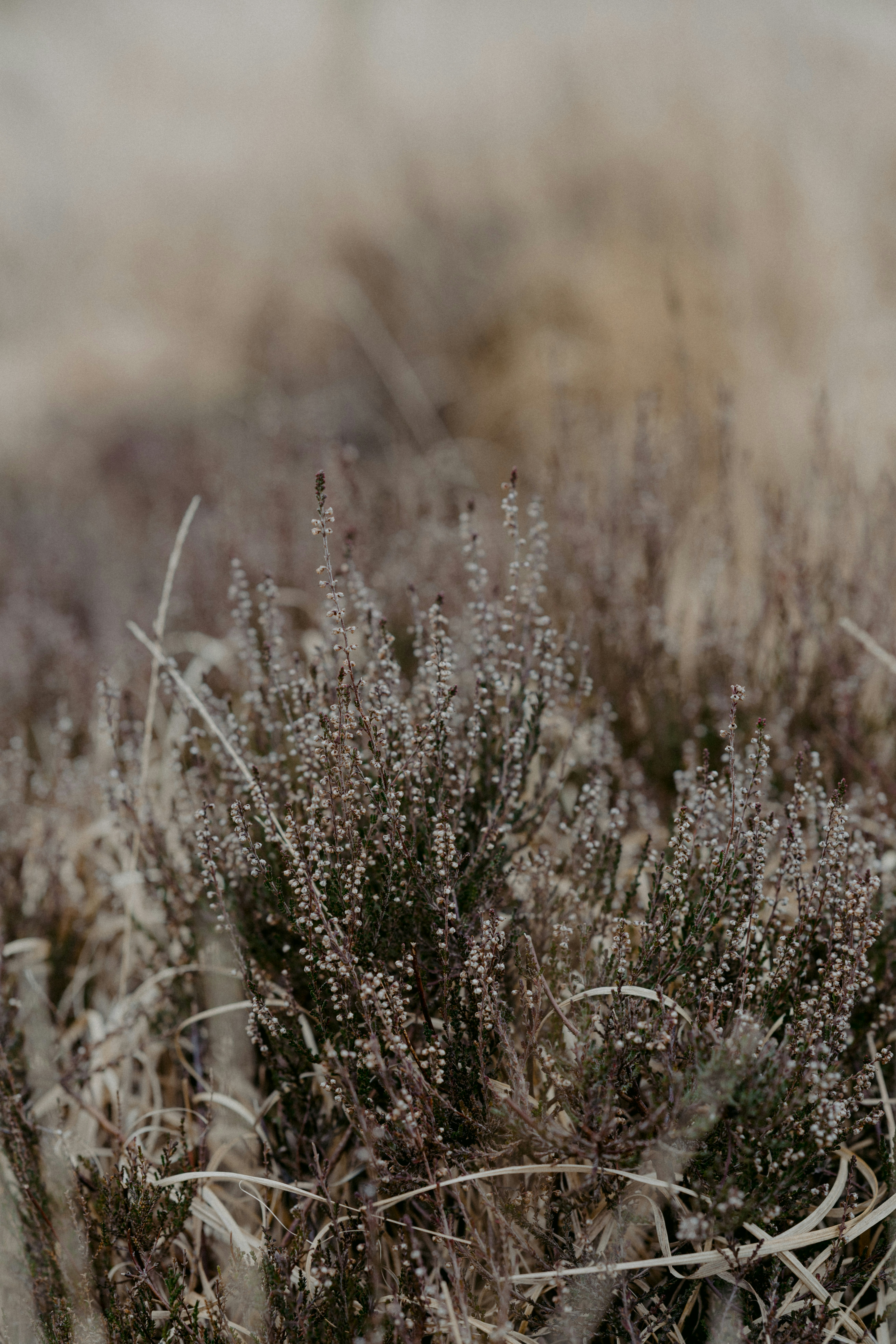 Photo by anniespratt