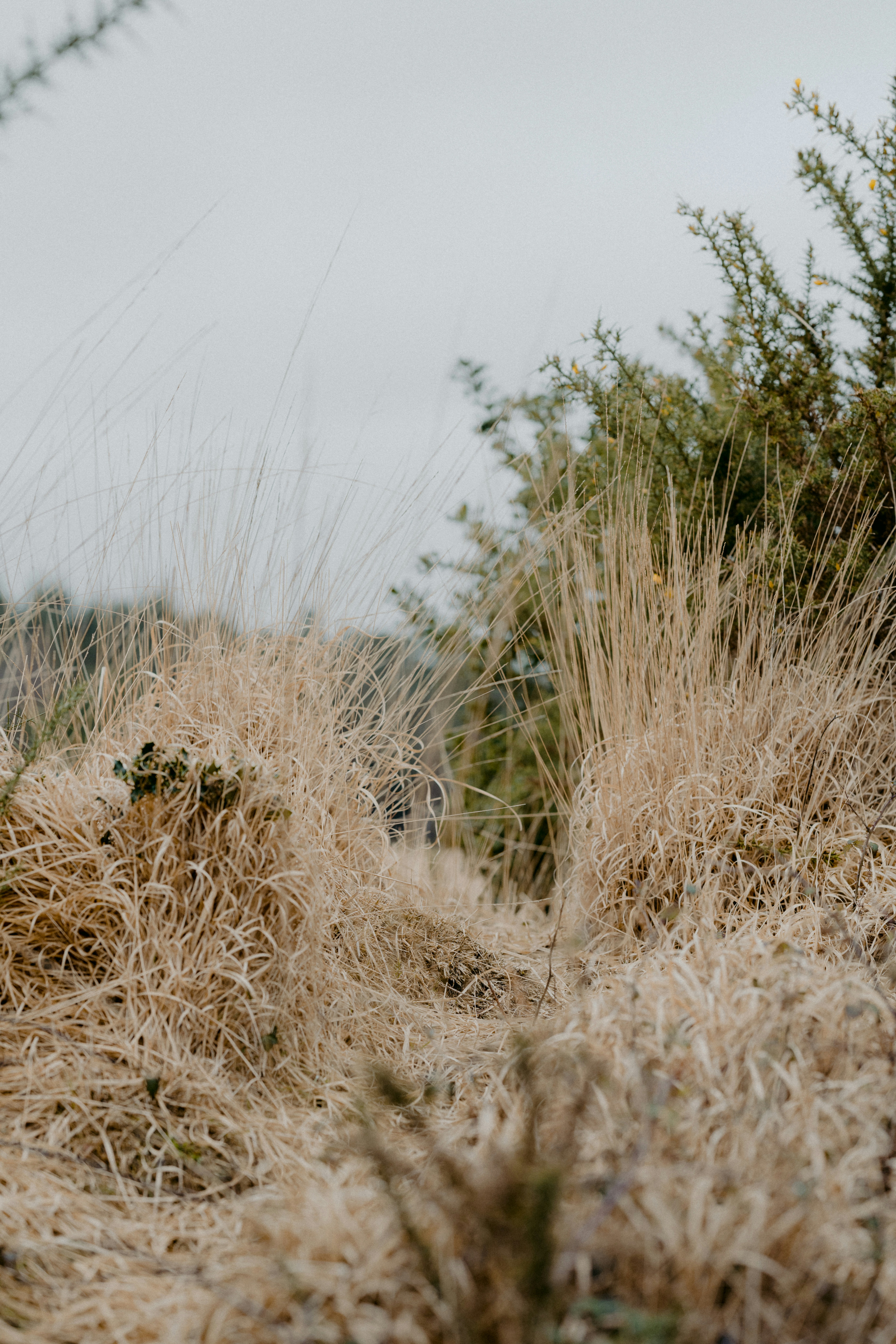 Photo by anniespratt