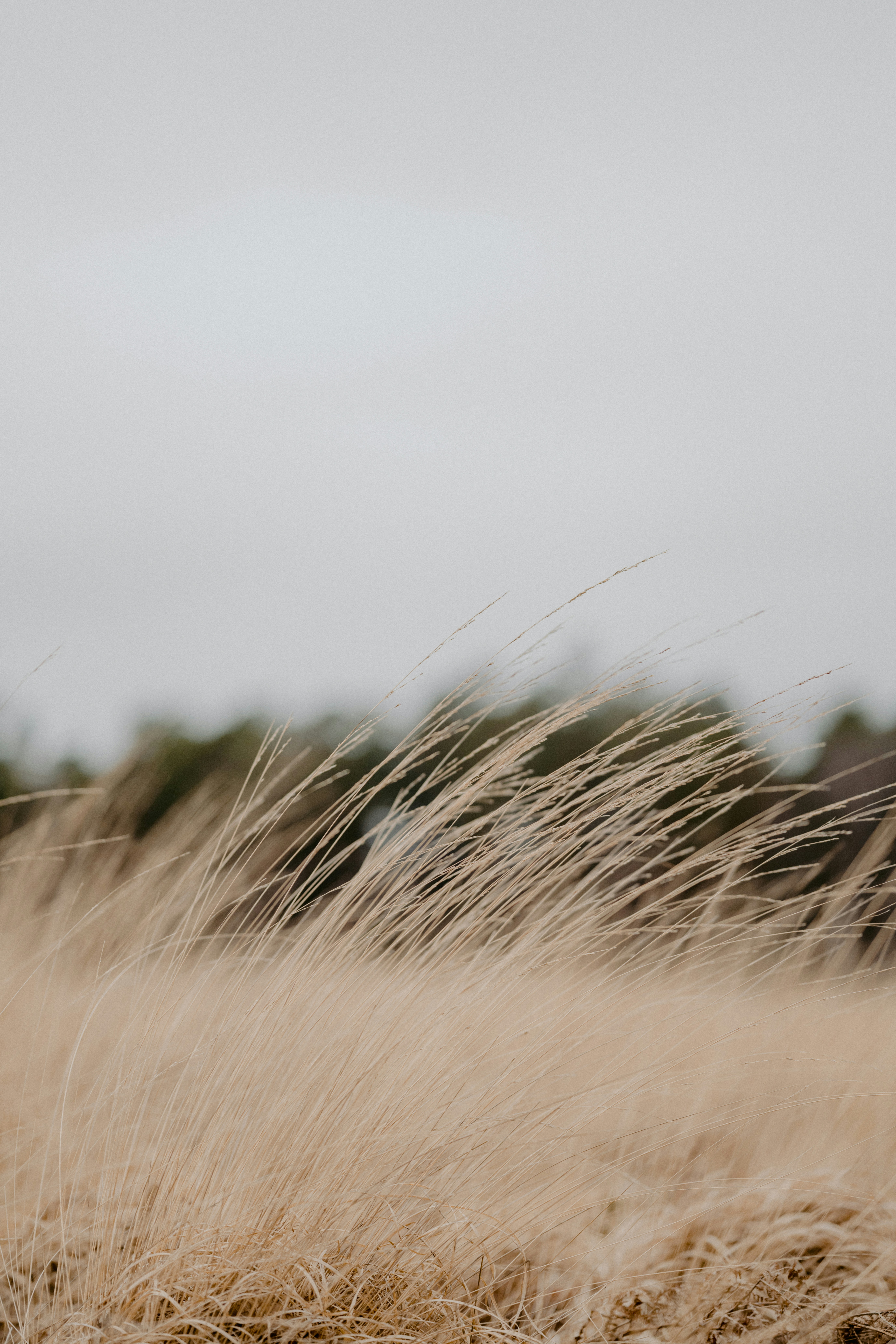 Photo by anniespratt