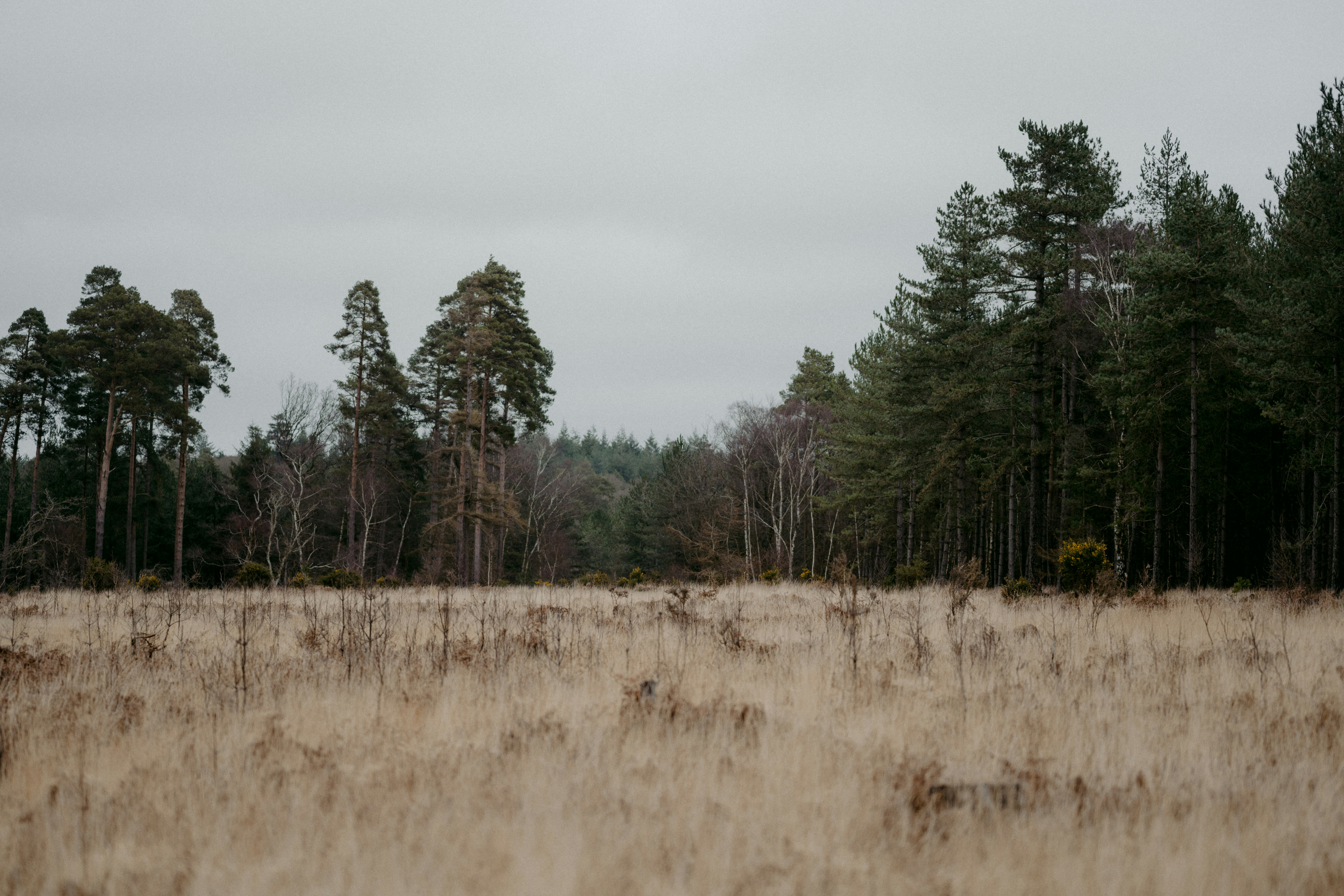 Photo by anniespratt