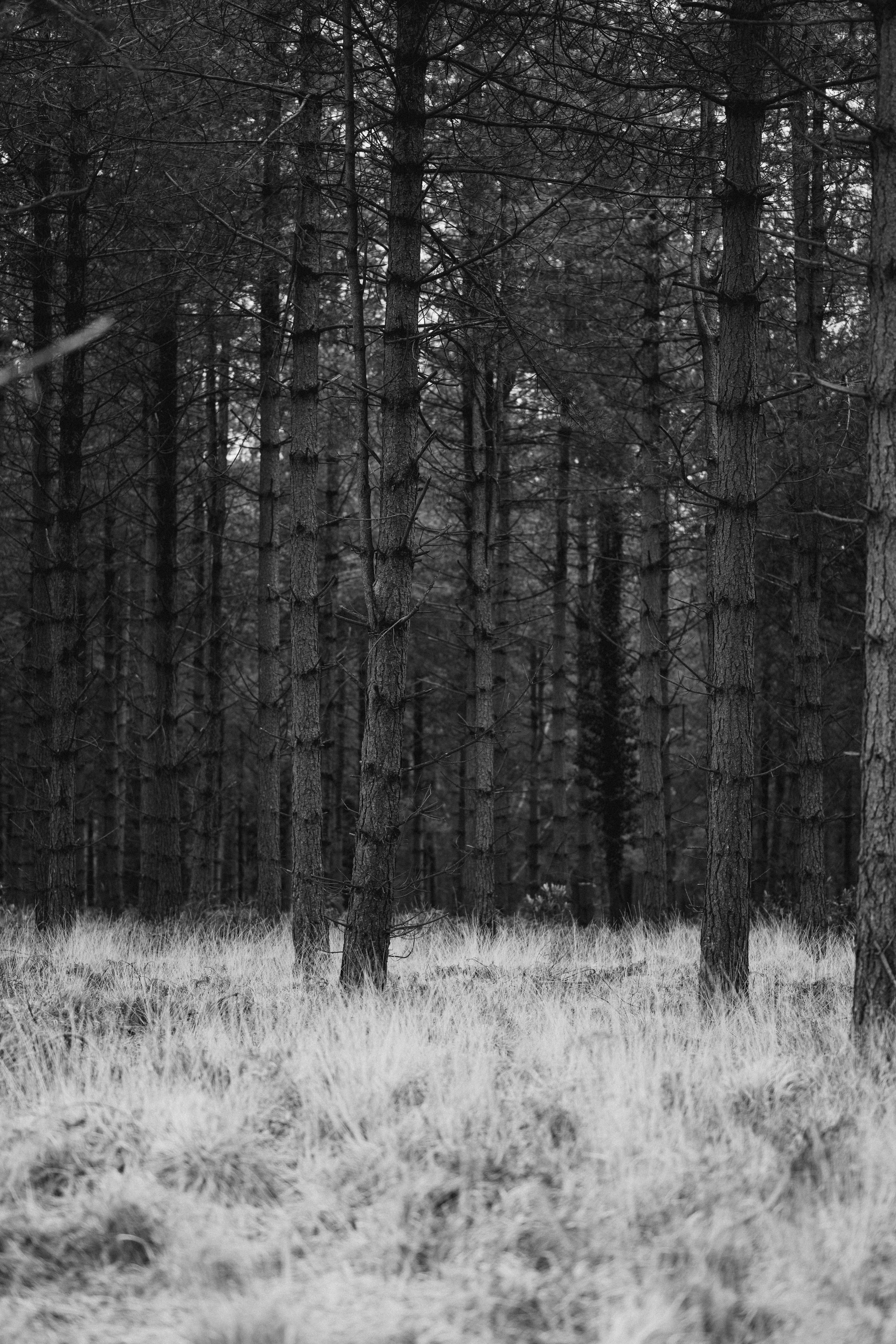 Photo by anniespratt