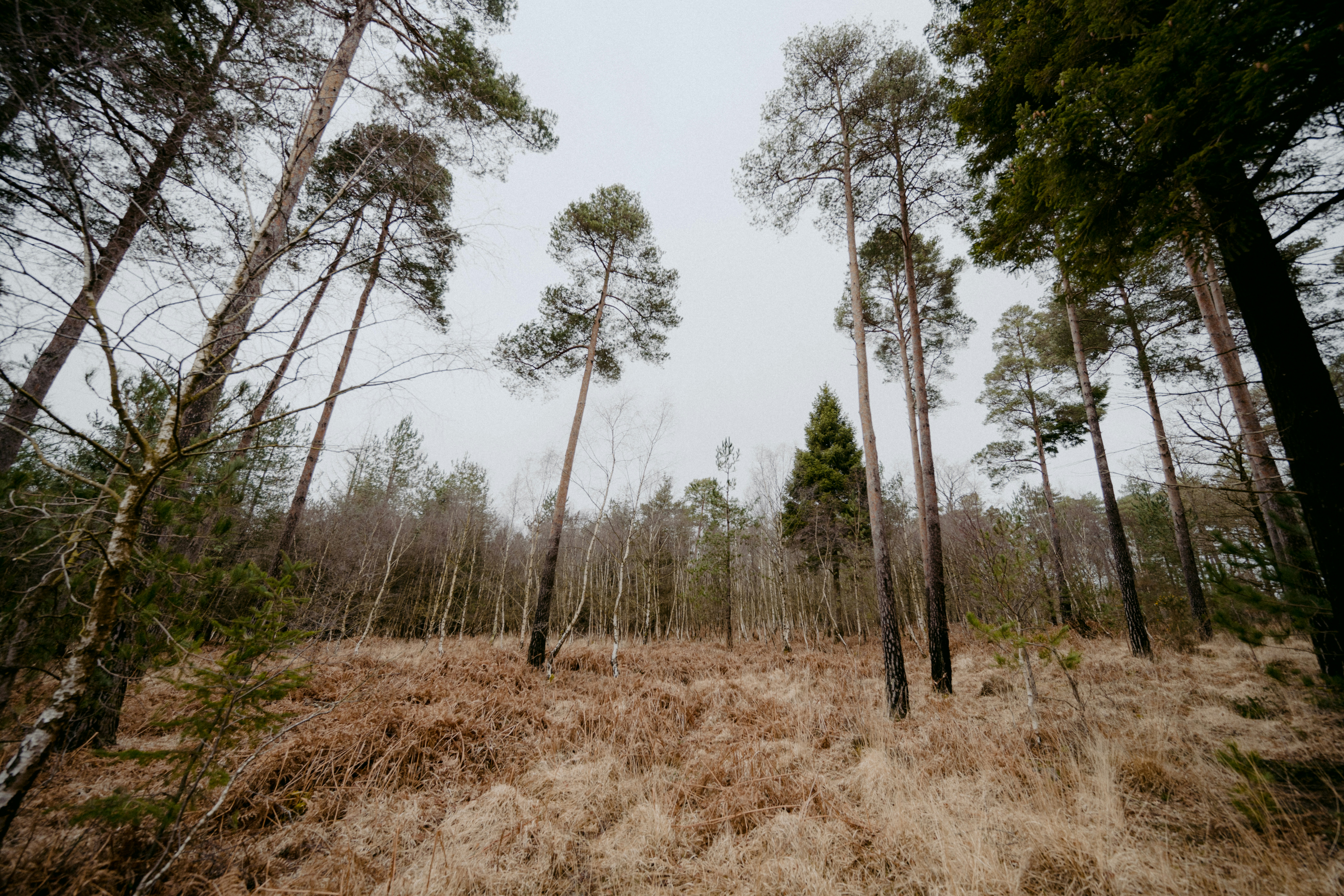 Photo by anniespratt