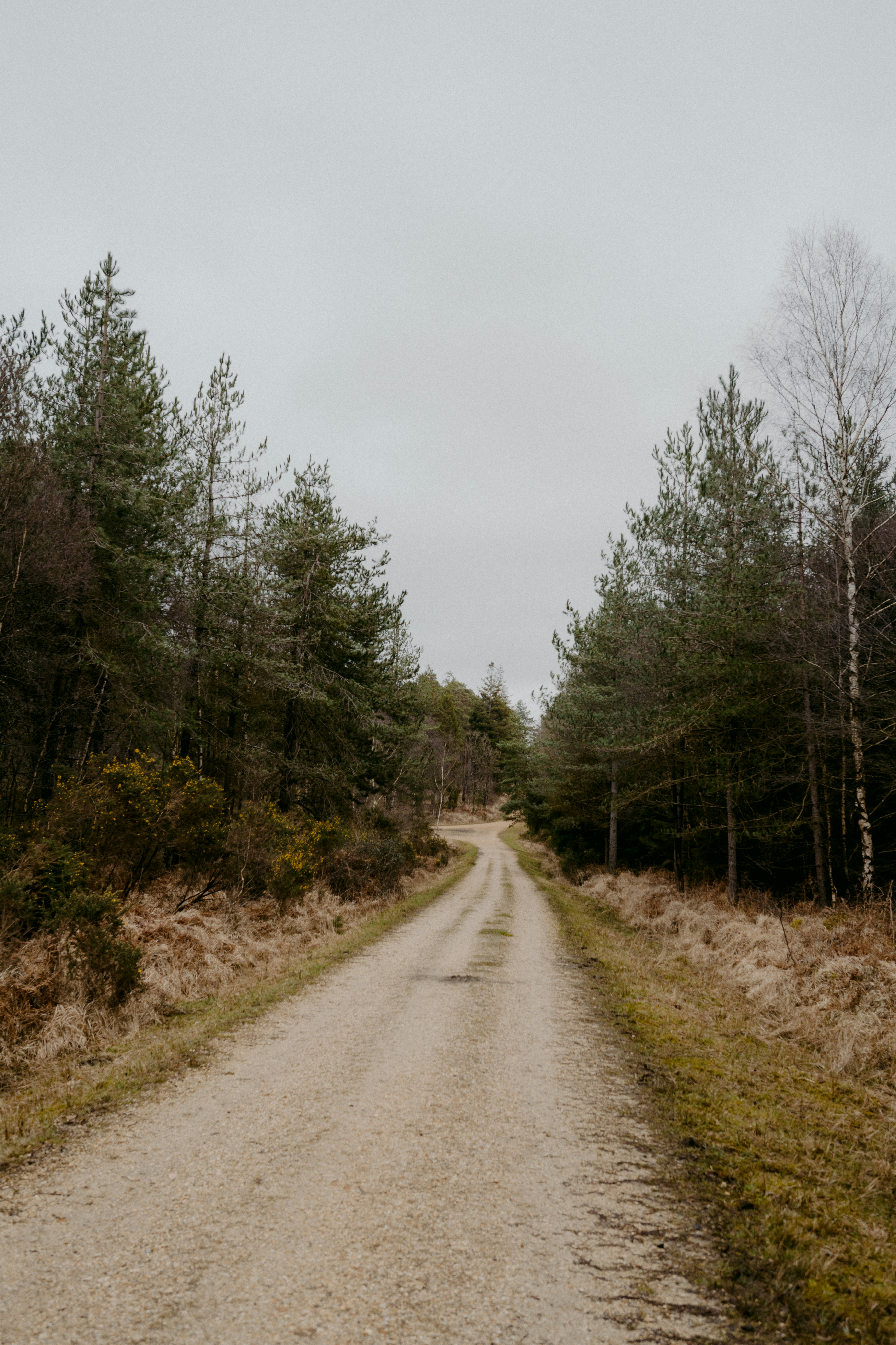 Photo by anniespratt