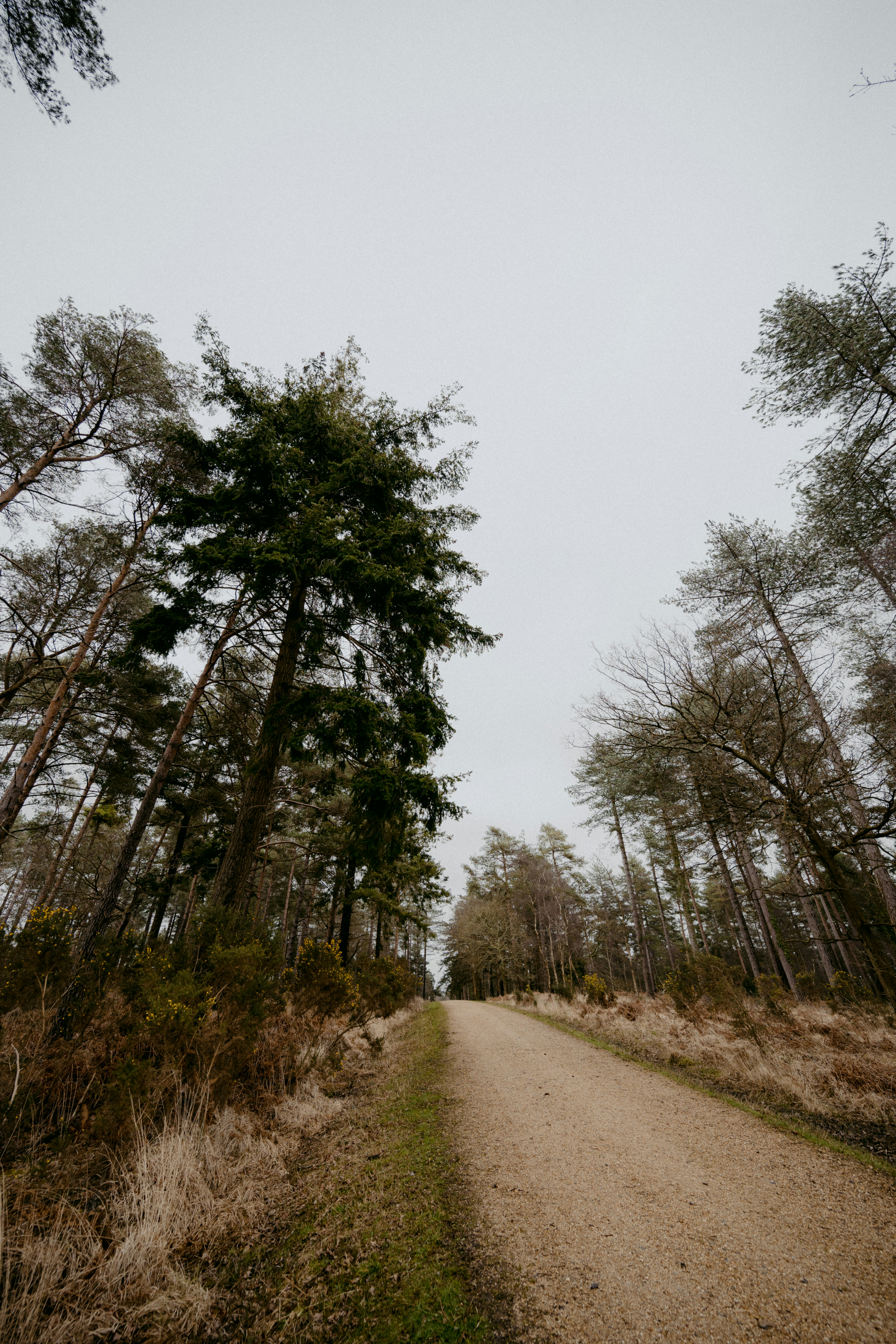 Photo by anniespratt