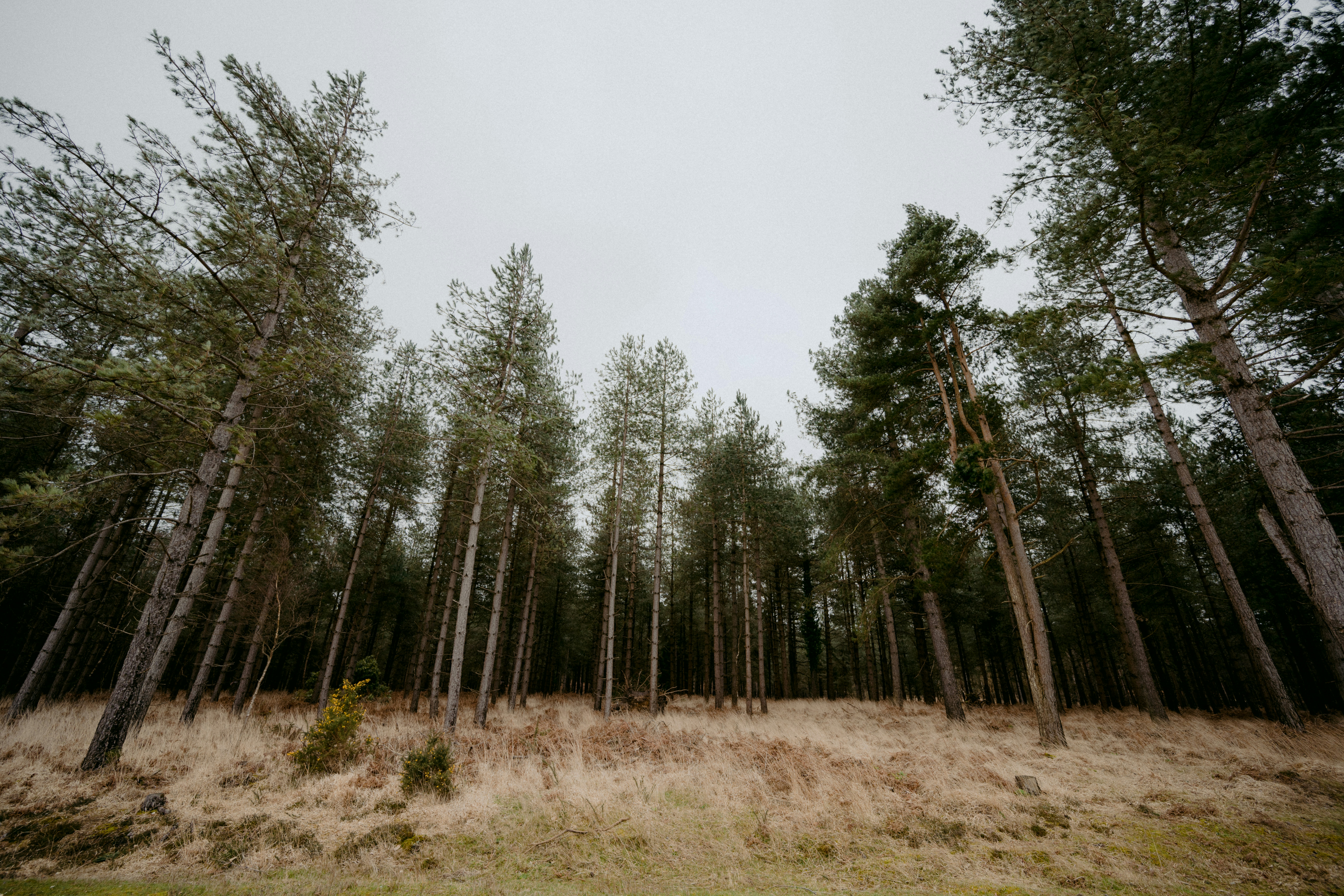 Photo by anniespratt