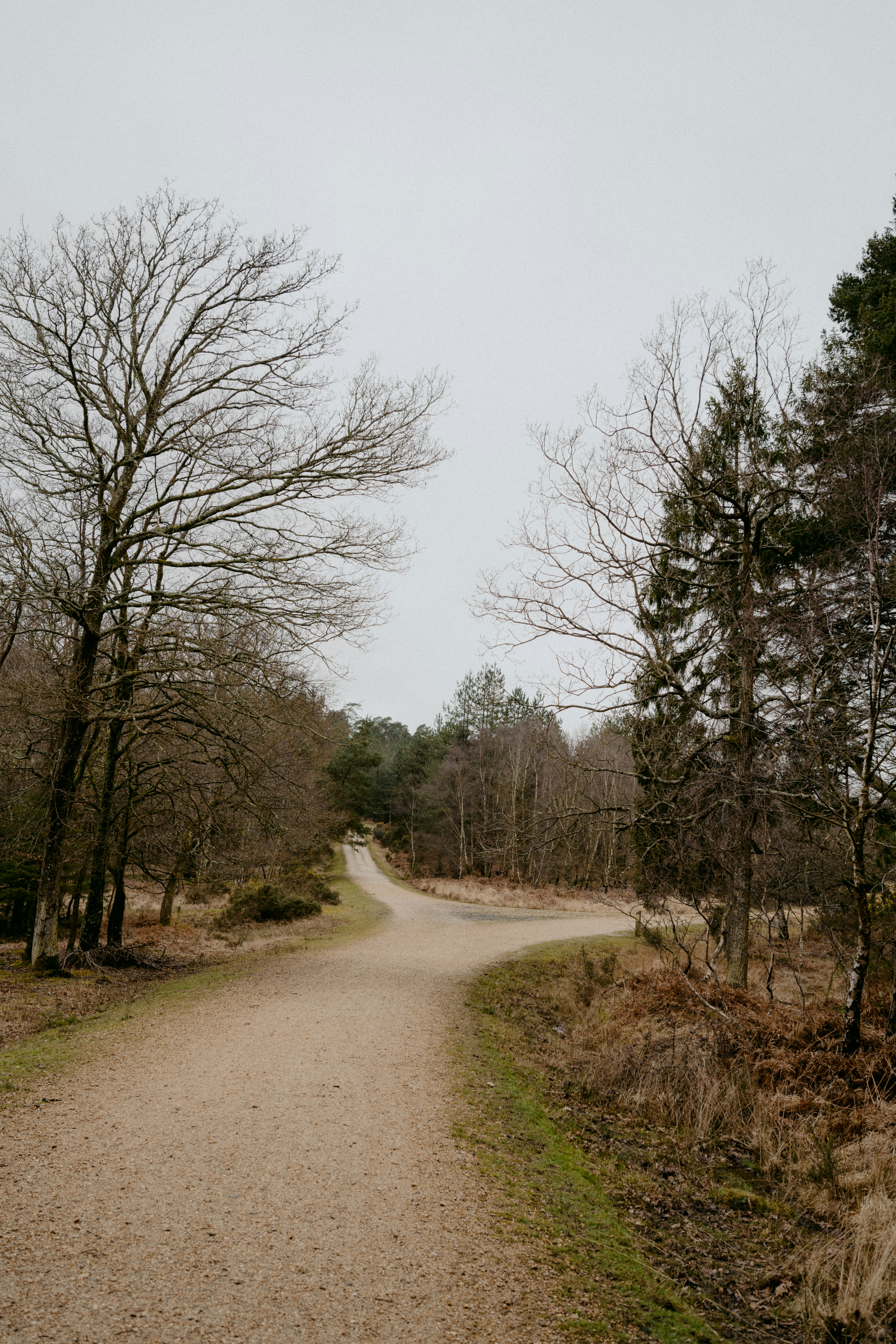 Photo by anniespratt