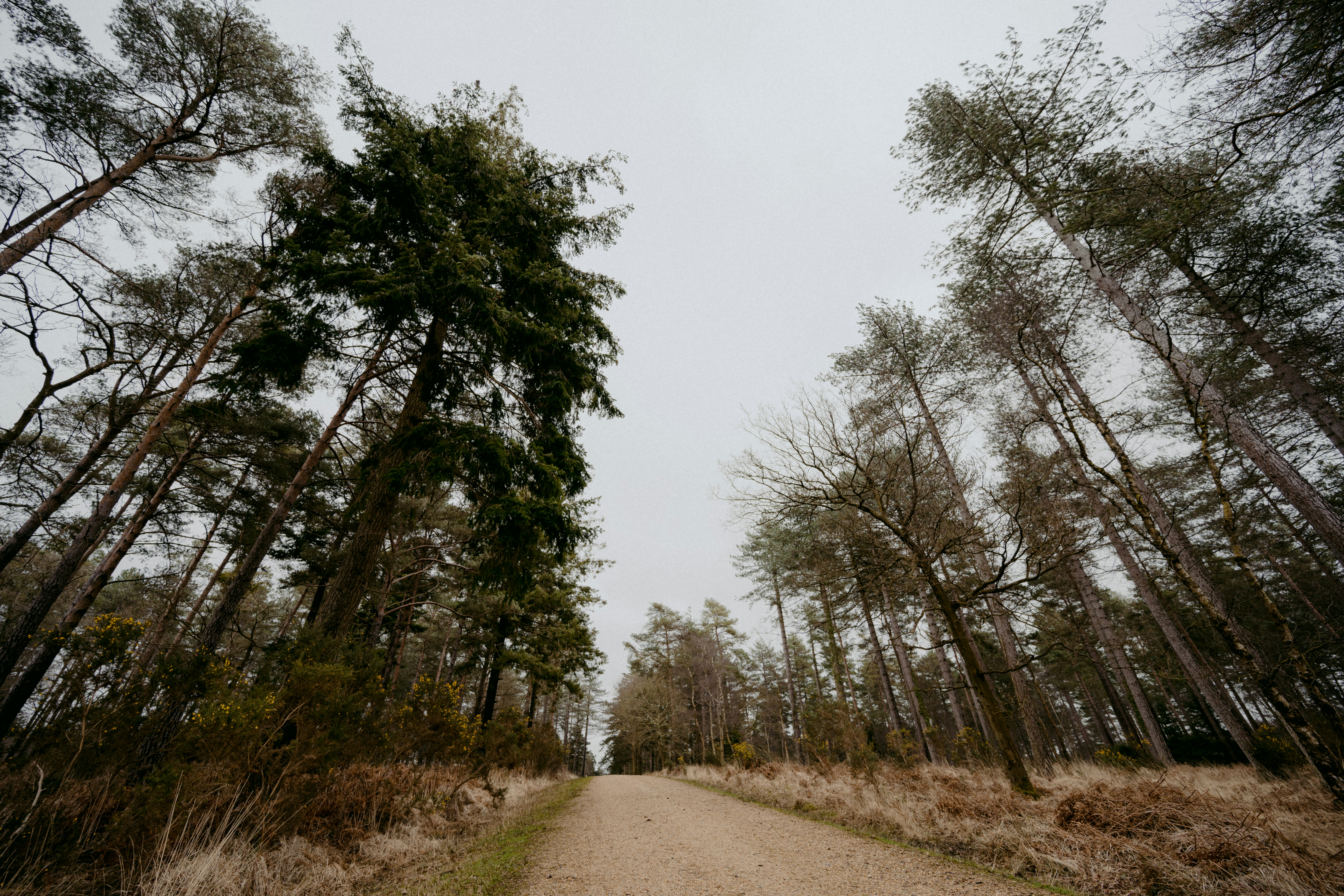 Photo by anniespratt