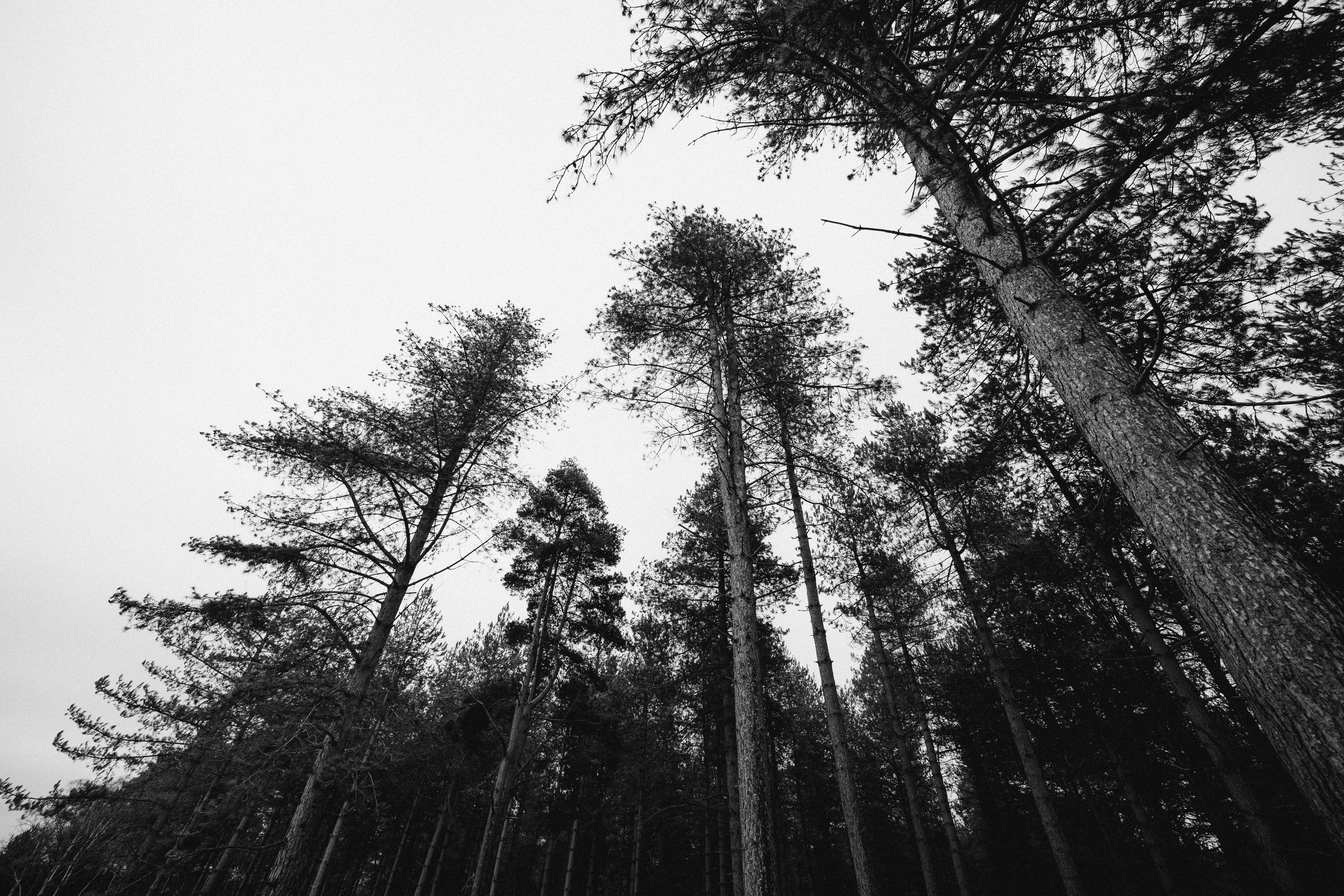 Photo by anniespratt