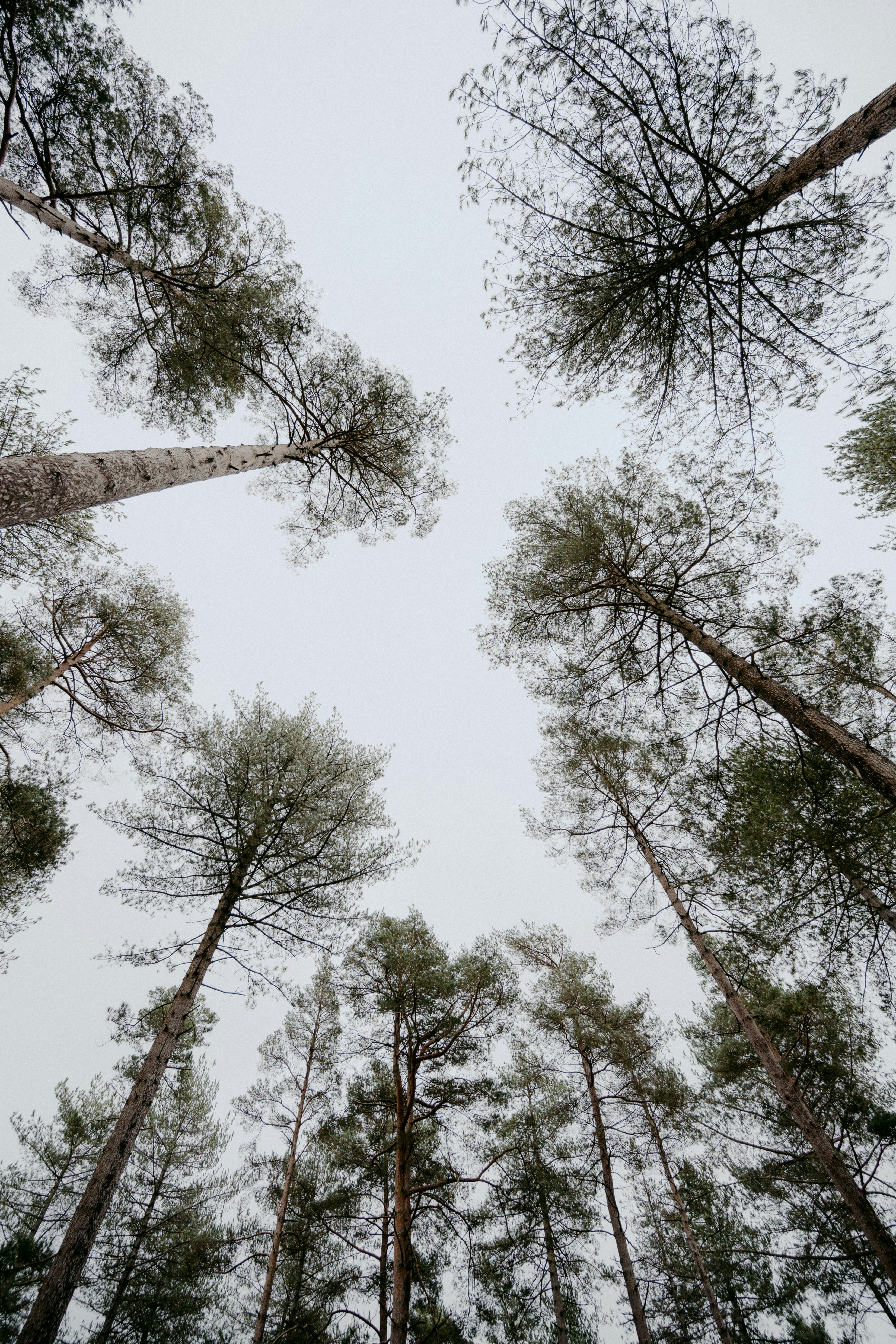 Photo by anniespratt