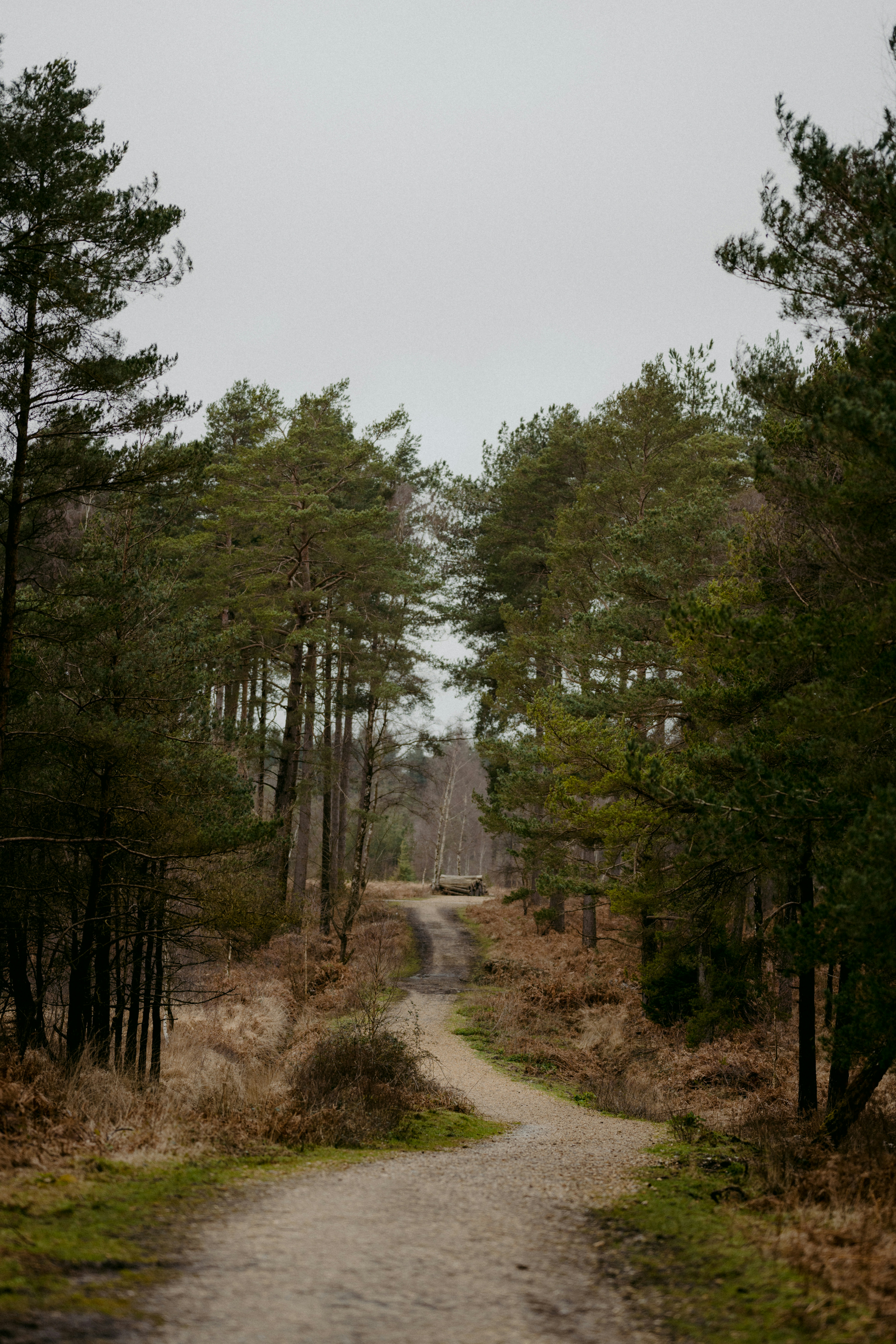 Photo by anniespratt