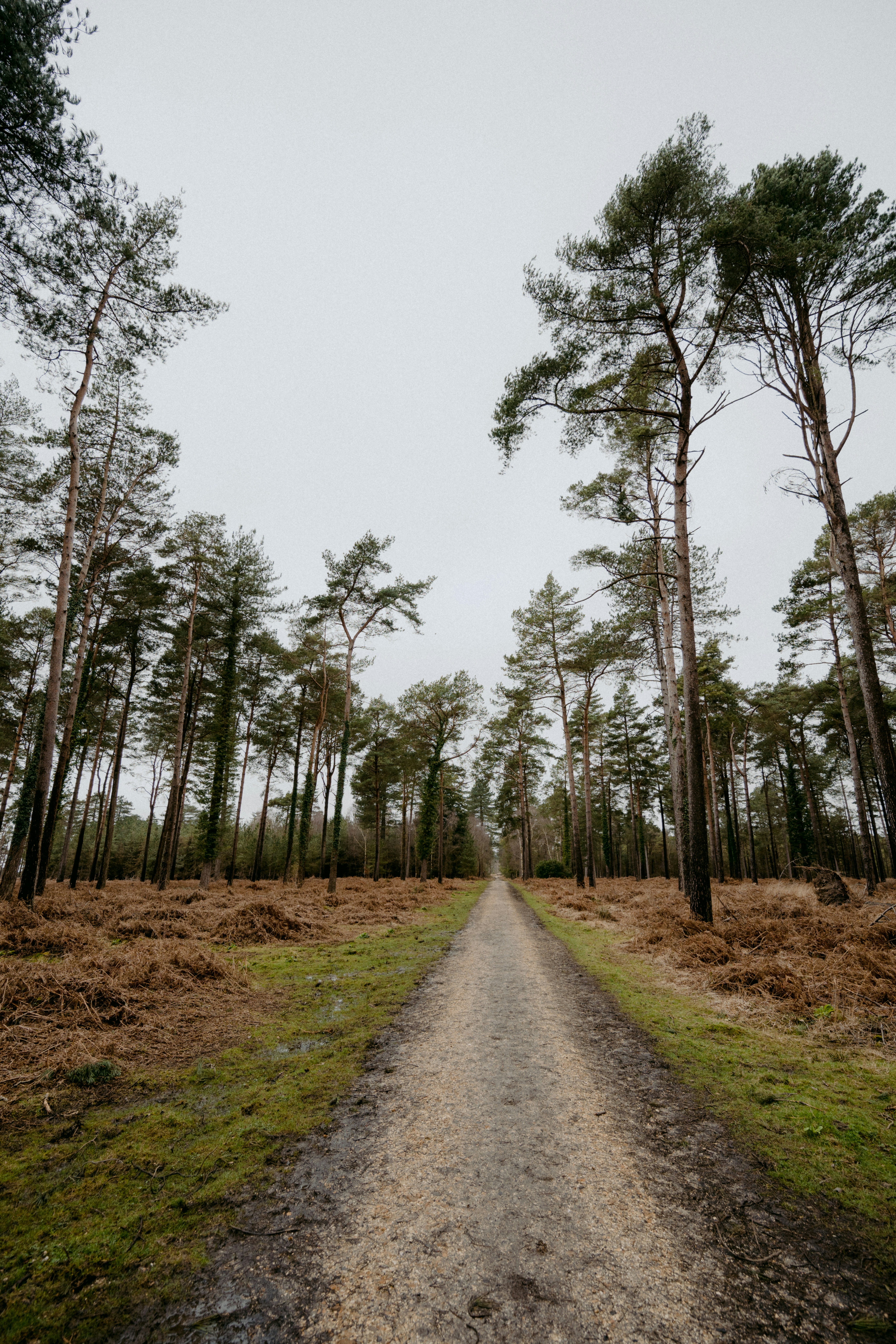 Photo by anniespratt