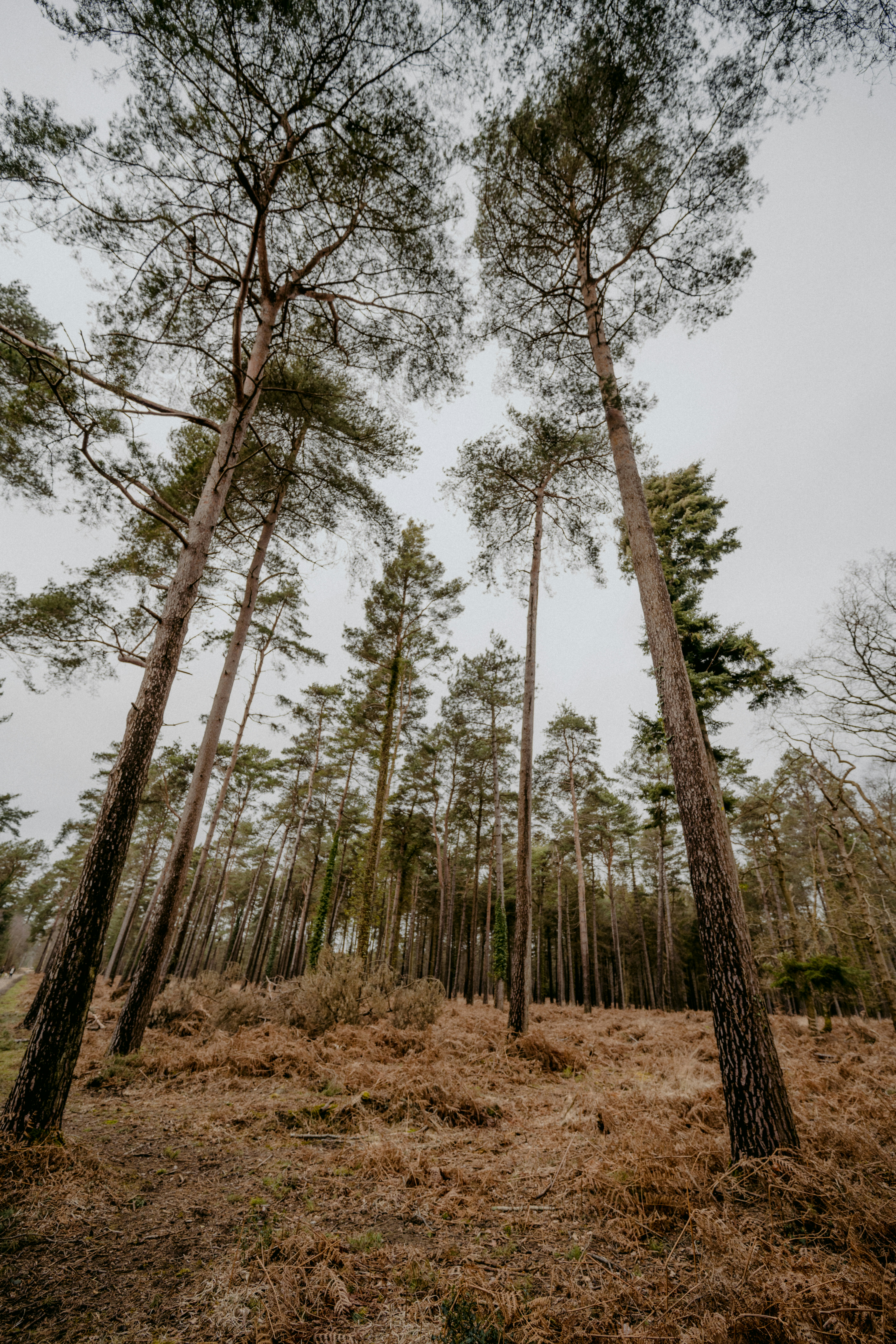 Photo by anniespratt