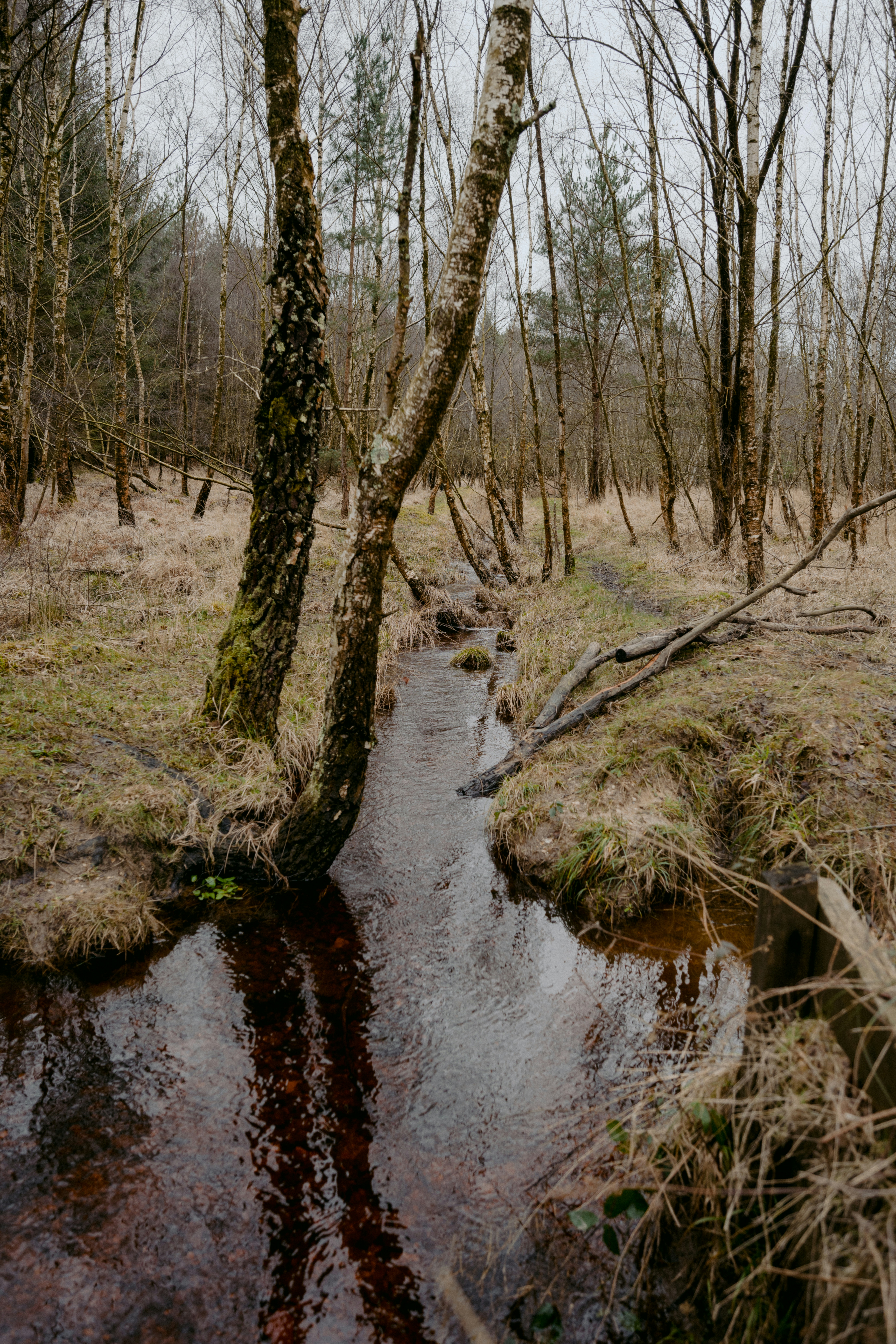 Photo by anniespratt