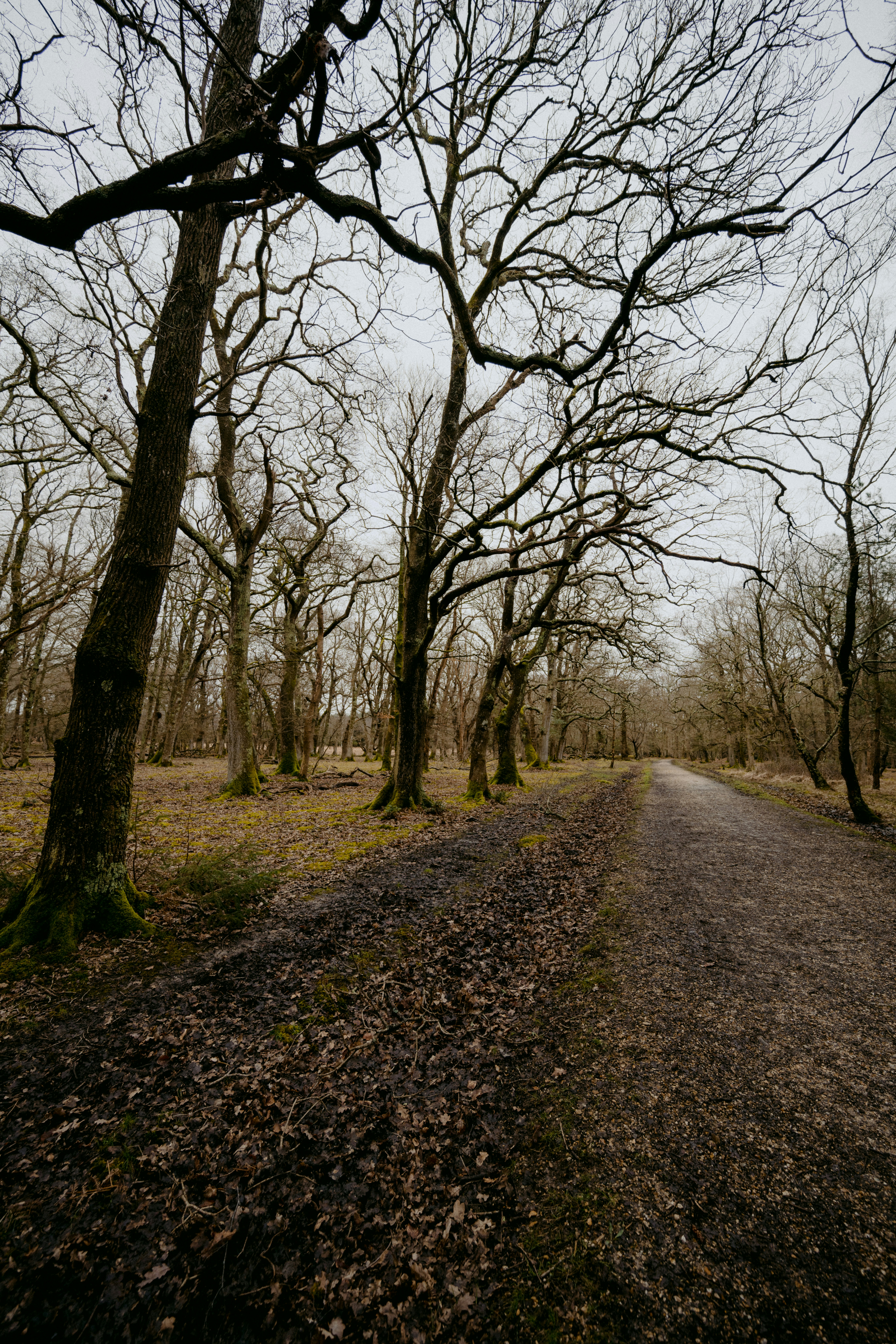 Photo by anniespratt