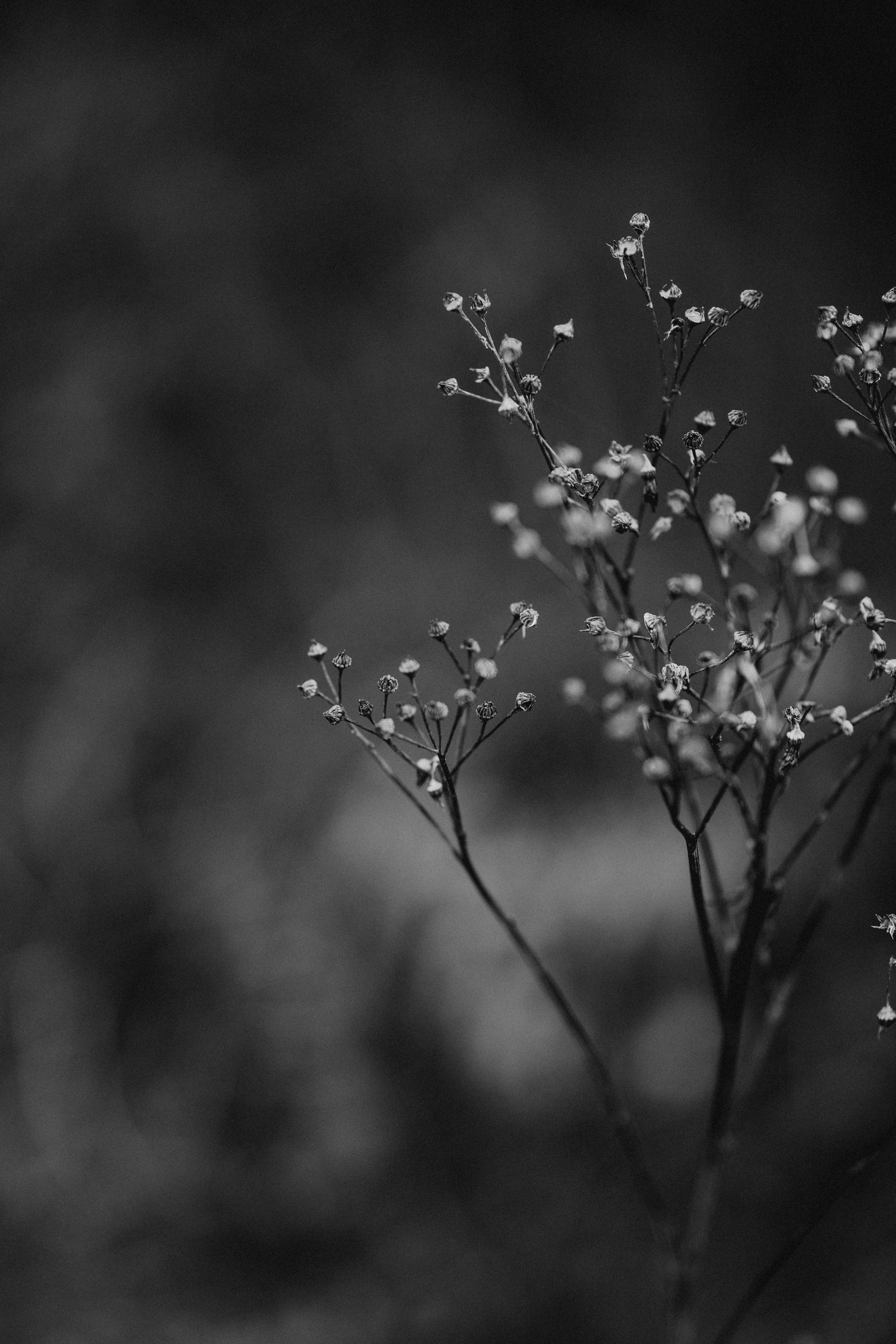 Photo by anniespratt