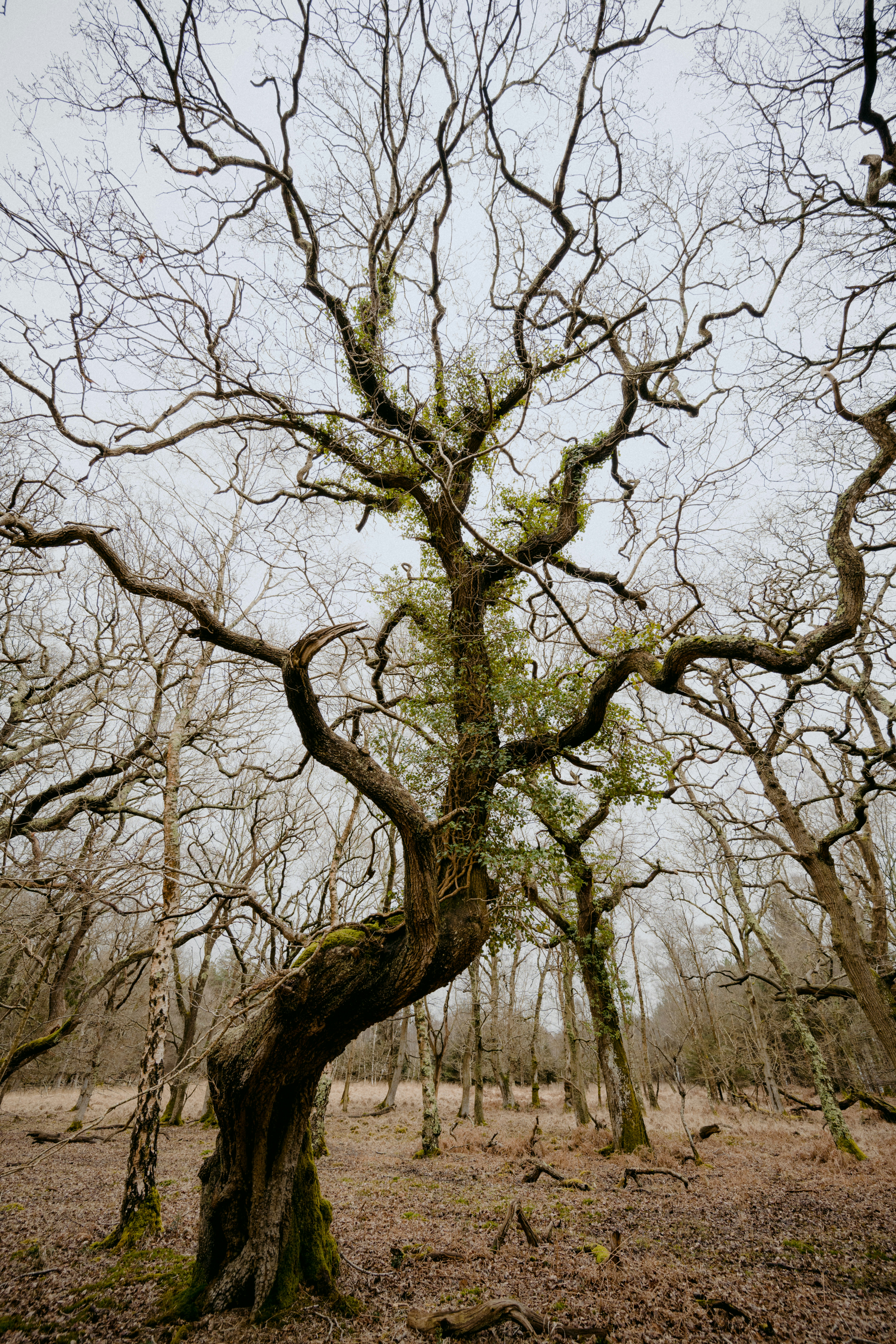 Photo by anniespratt