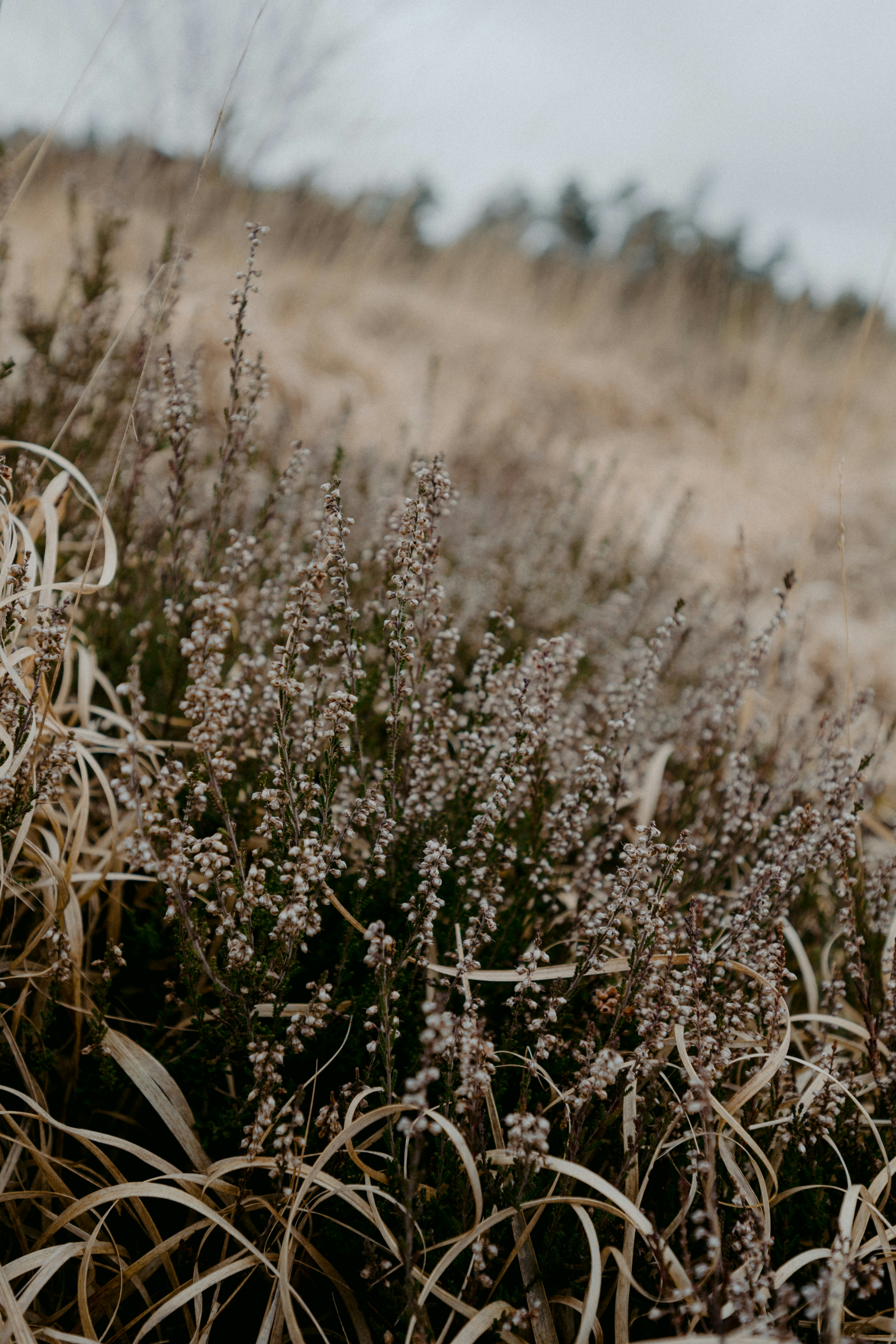 Photo by anniespratt