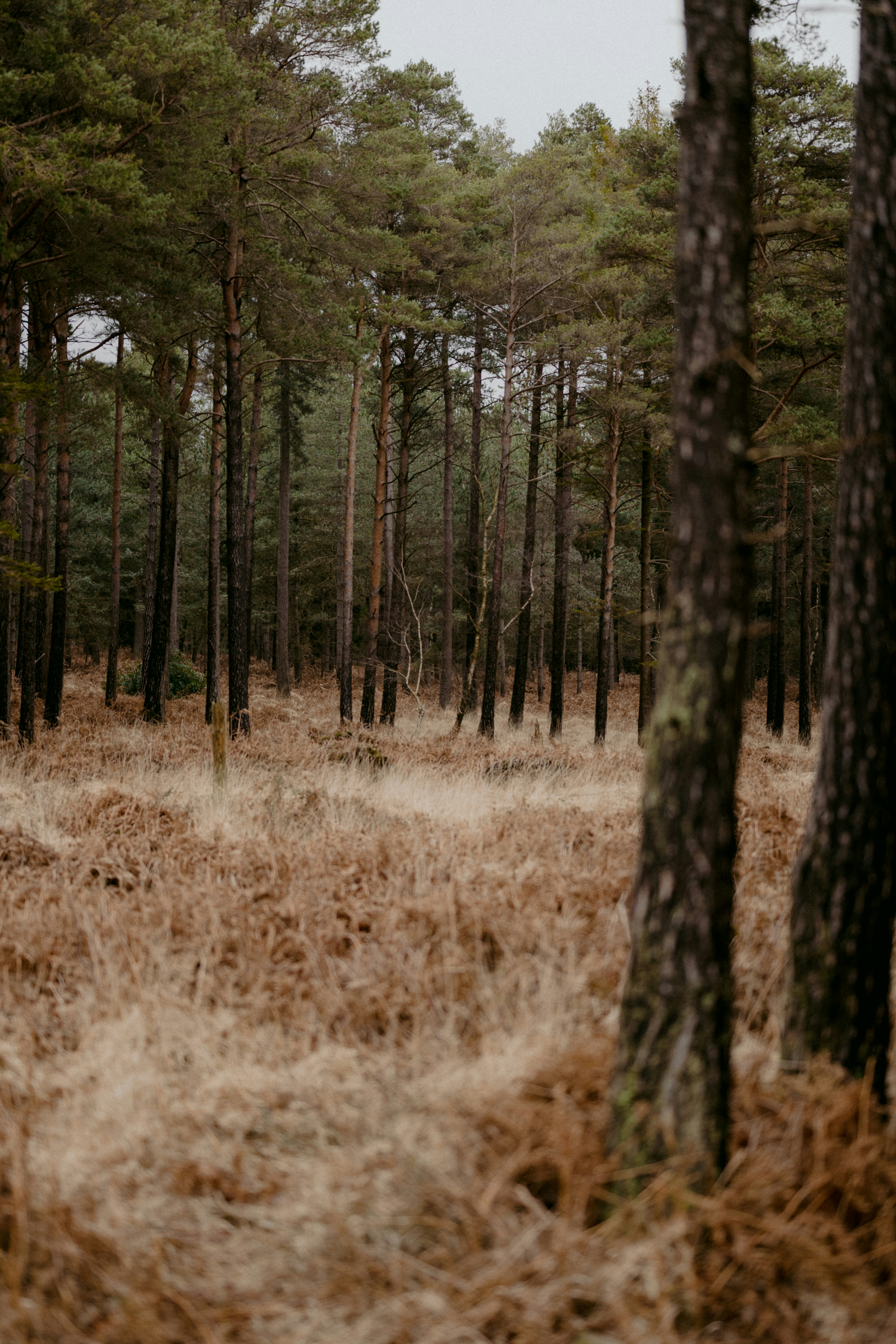 Photo by anniespratt